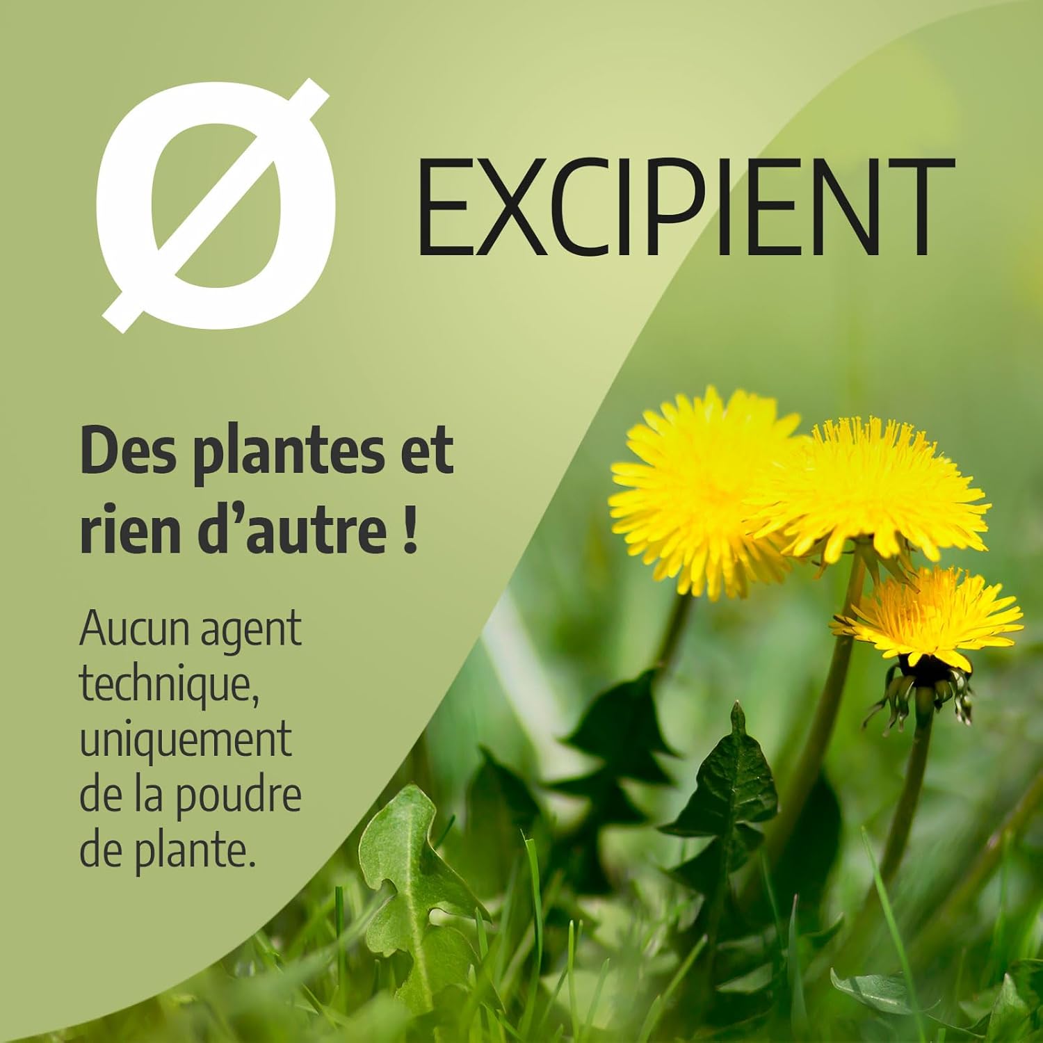 Organic Dandelion 270 mg - 100 Capsules - Ecocert Certified - Orgaliane - Image 8