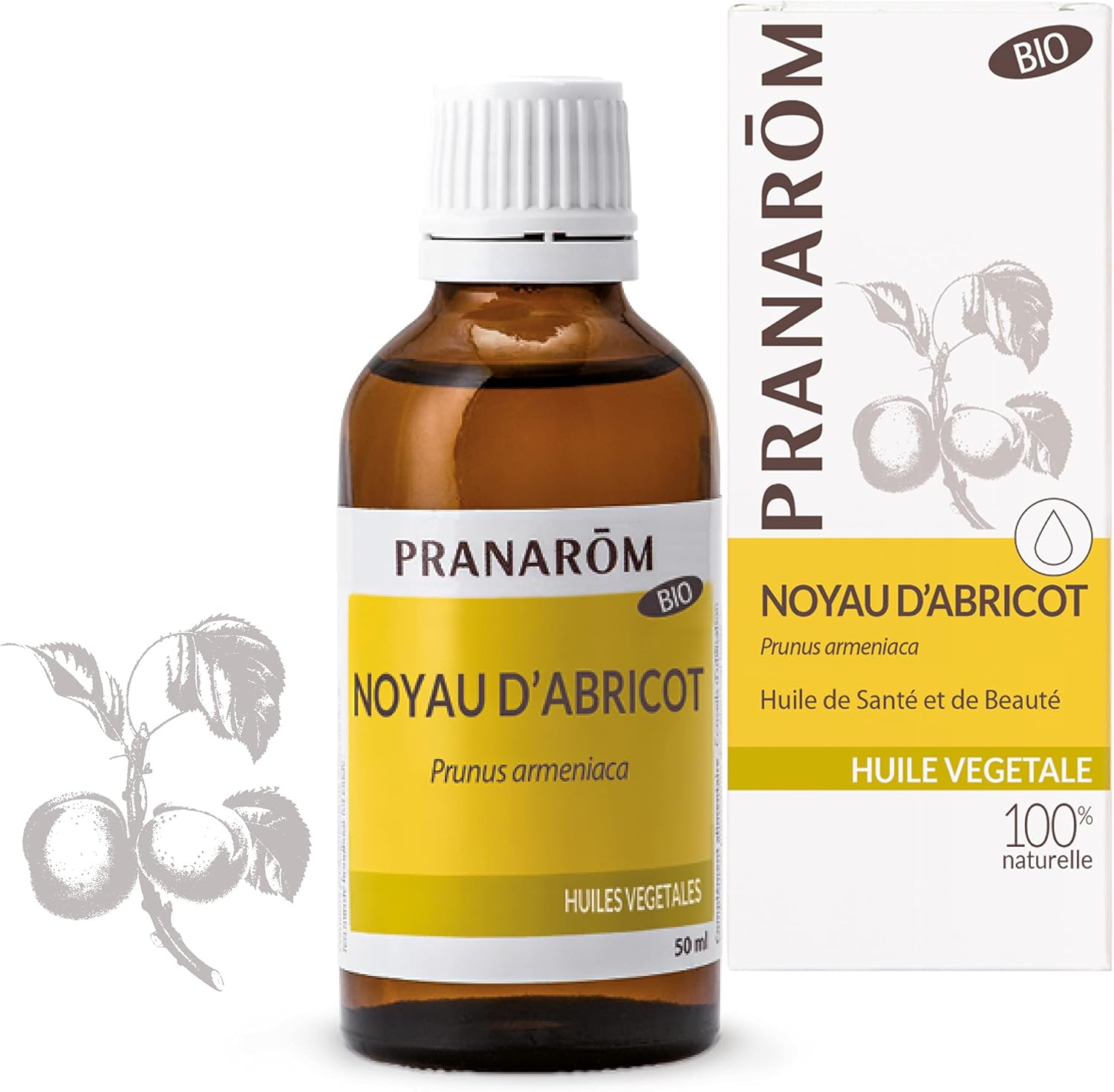 Pranarôm Organic Apricot Kernel Vegetable Oil Contains Vitamins A and E 50 ml - Image 2