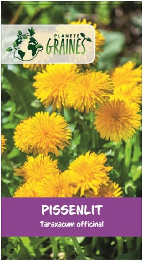 1000 Wild Dandelion Seeds - Dandelion - Turtle Food - Easy to Grow - Image 2