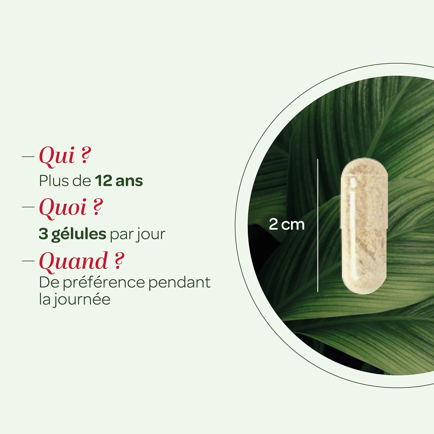 SUPERDIET - VALÉRIANE ORGANIC - Relaxation and Sleep - Phytotherapy - Made in France - 90 capsules - Image 5