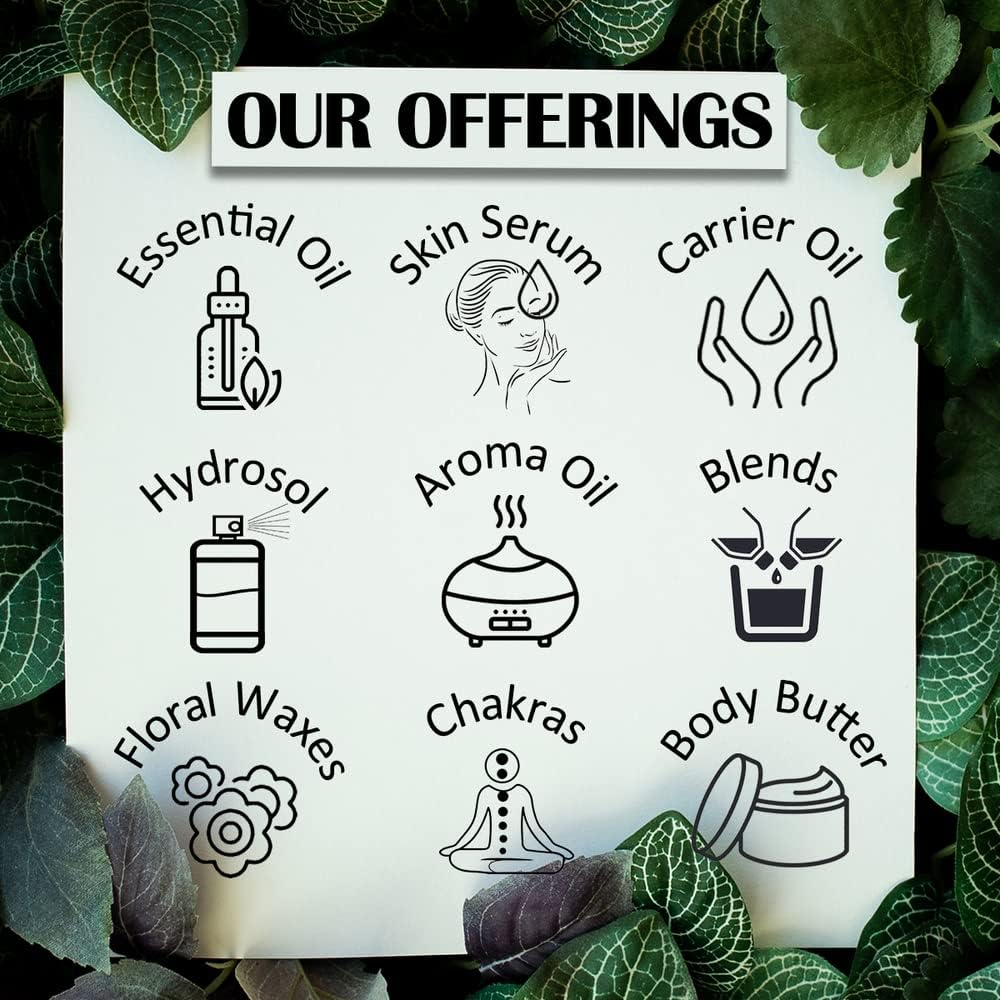 Greenwood Essential Pure Borage Oil (Borago officinalis) 100% Natural Therapeutic Grade Cold Pressed for Personal Care 15ml (0.50 oz) - Image 4