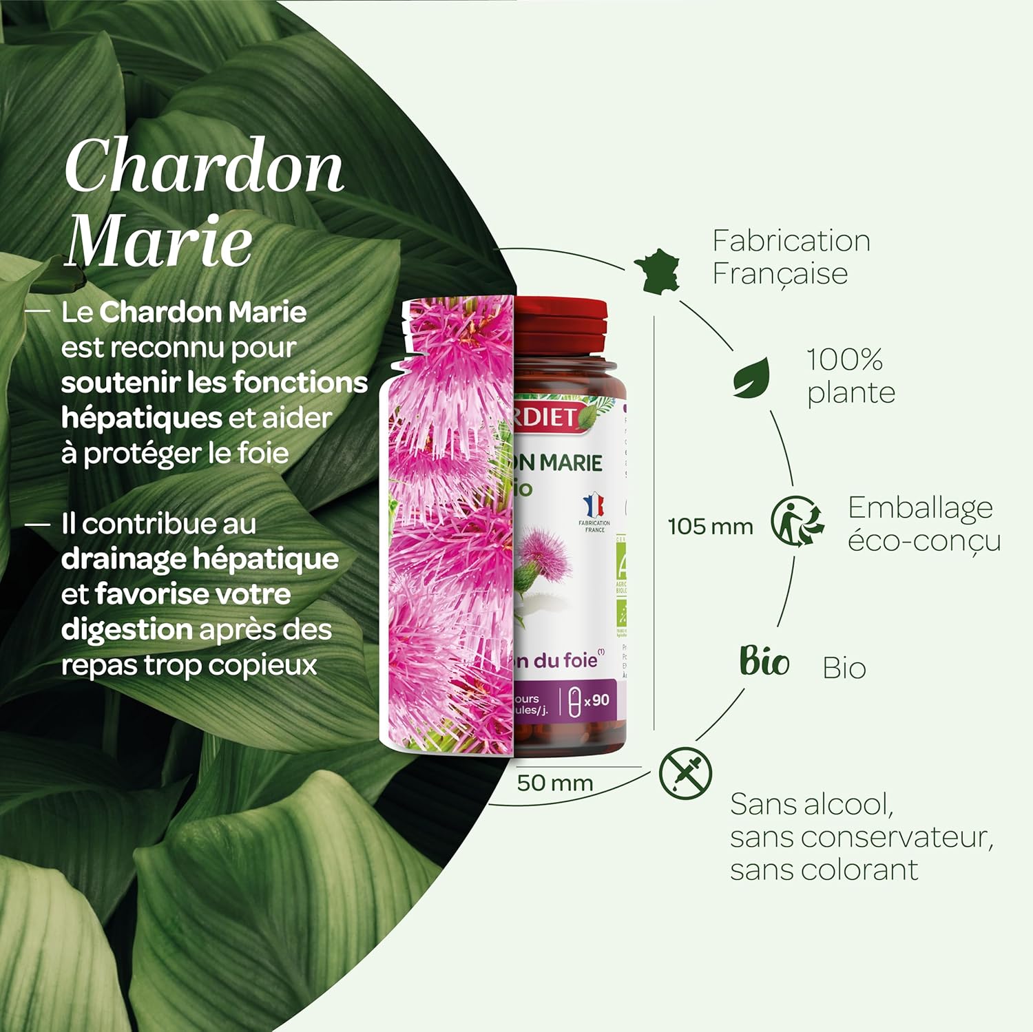 SUPERDIET – CHARDON MARIE ORGANIC - Liver protection – Herbal medicine – Made in France – 90 capsules - Image 4