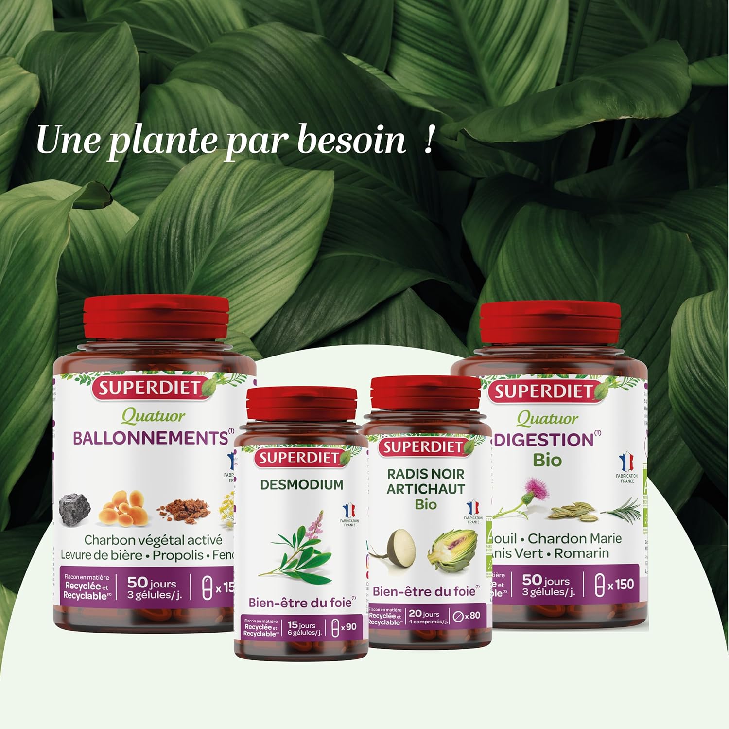 SUPERDIET – CHARDON MARIE ORGANIC - Liver protection – Herbal medicine – Made in France – 90 capsules - Image 7