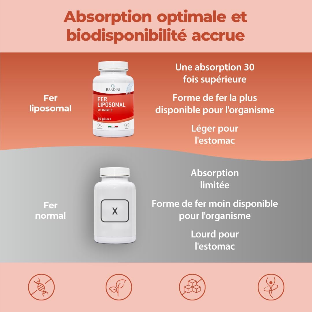 Bandini Liposomal Iron 30mg + Vitamin C, Folic Acid, Vitamins B12, B6 and A - Enhanced Assimilation, High Bioavailability, Anti-Fatigue Dietary Supplement - Liposomal Iron 60 Capsules - Image 4