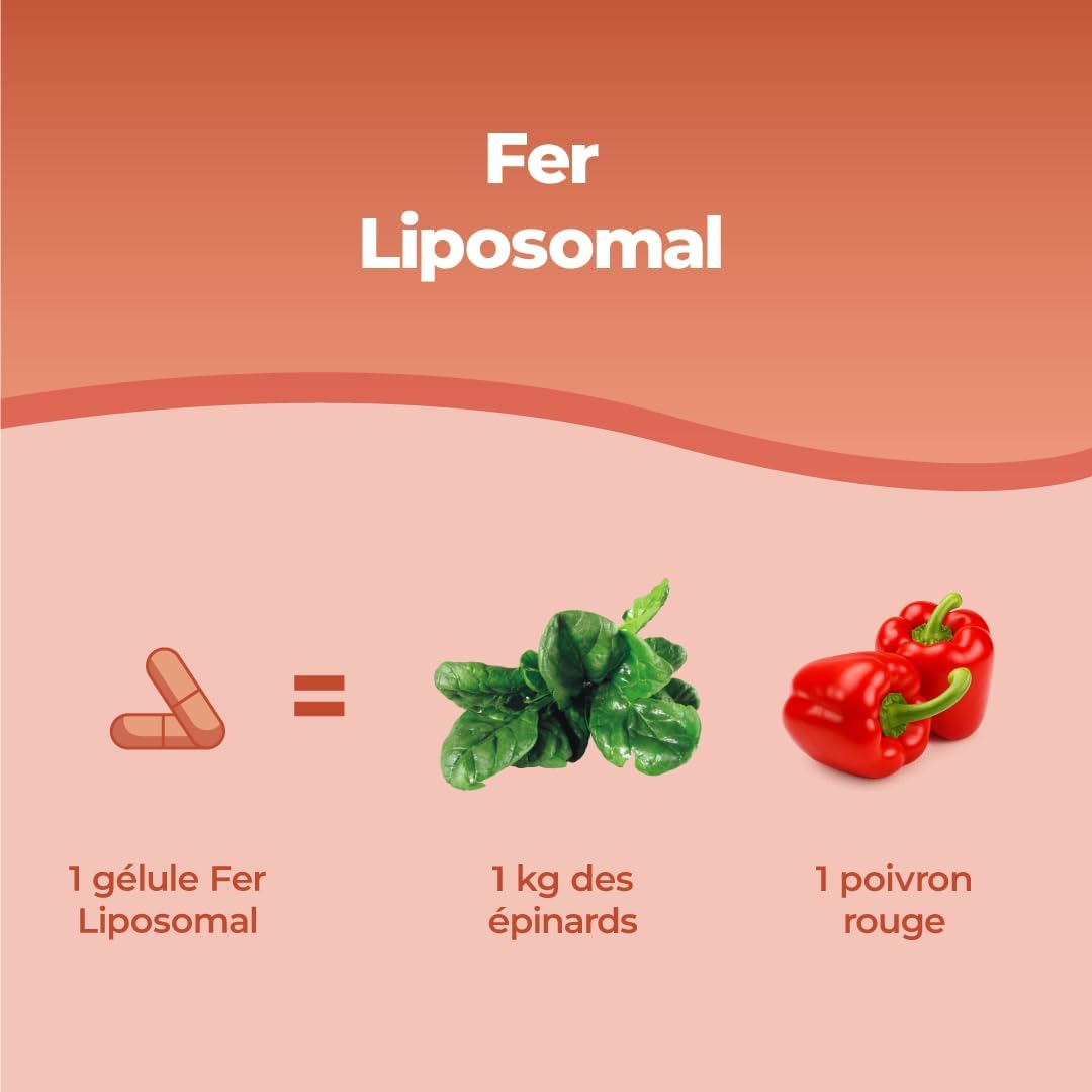 Bandini Liposomal Iron 30mg + Vitamin C, Folic Acid, Vitamins B12, B6 and A - Enhanced Assimilation, High Bioavailability, Anti-Fatigue Dietary Supplement - Liposomal Iron 60 Capsules - Image 5