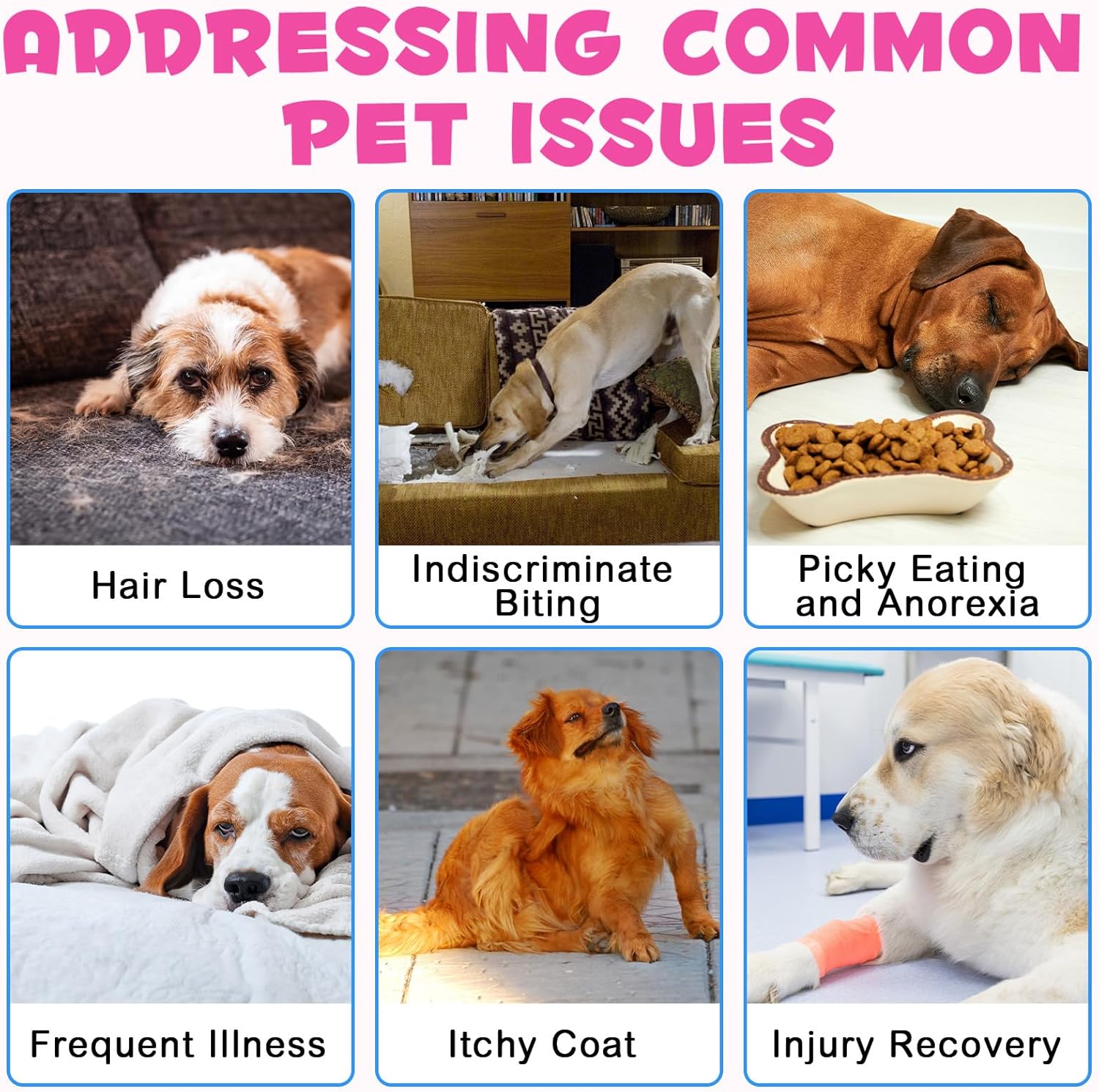 Liquid Collagen for Dogs - Collagen Supplements for Dogs - Itching Relief - Stimulates Collagen with Biotin, MSM & Ginger, Improves Mobility, Skin Health & - Image 3