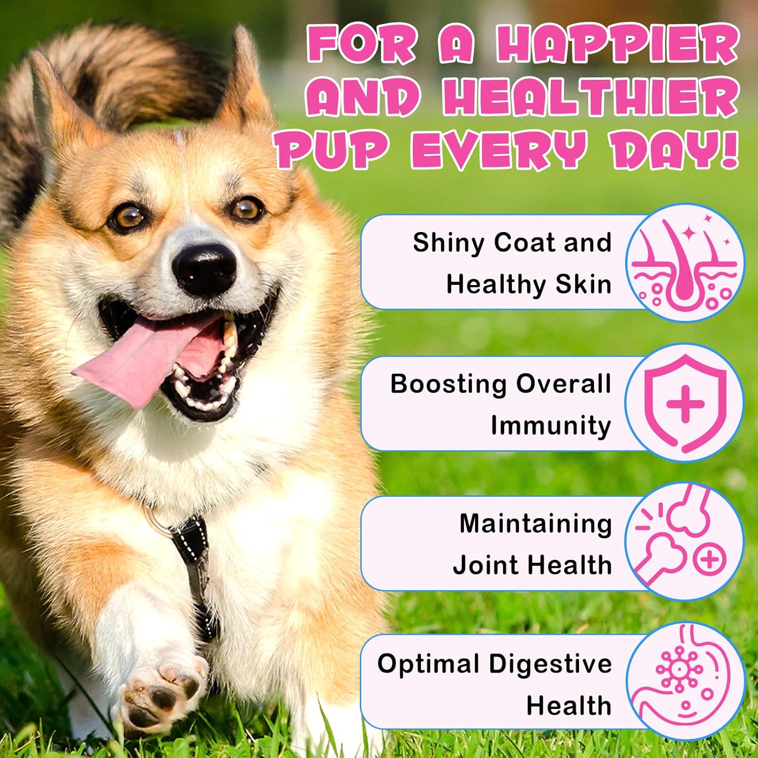 Liquid Collagen for Dogs - Collagen Supplements for Dogs - Itching Relief - Stimulates Collagen with Biotin, MSM & Ginger, Improves Mobility, Skin Health & - Image 4