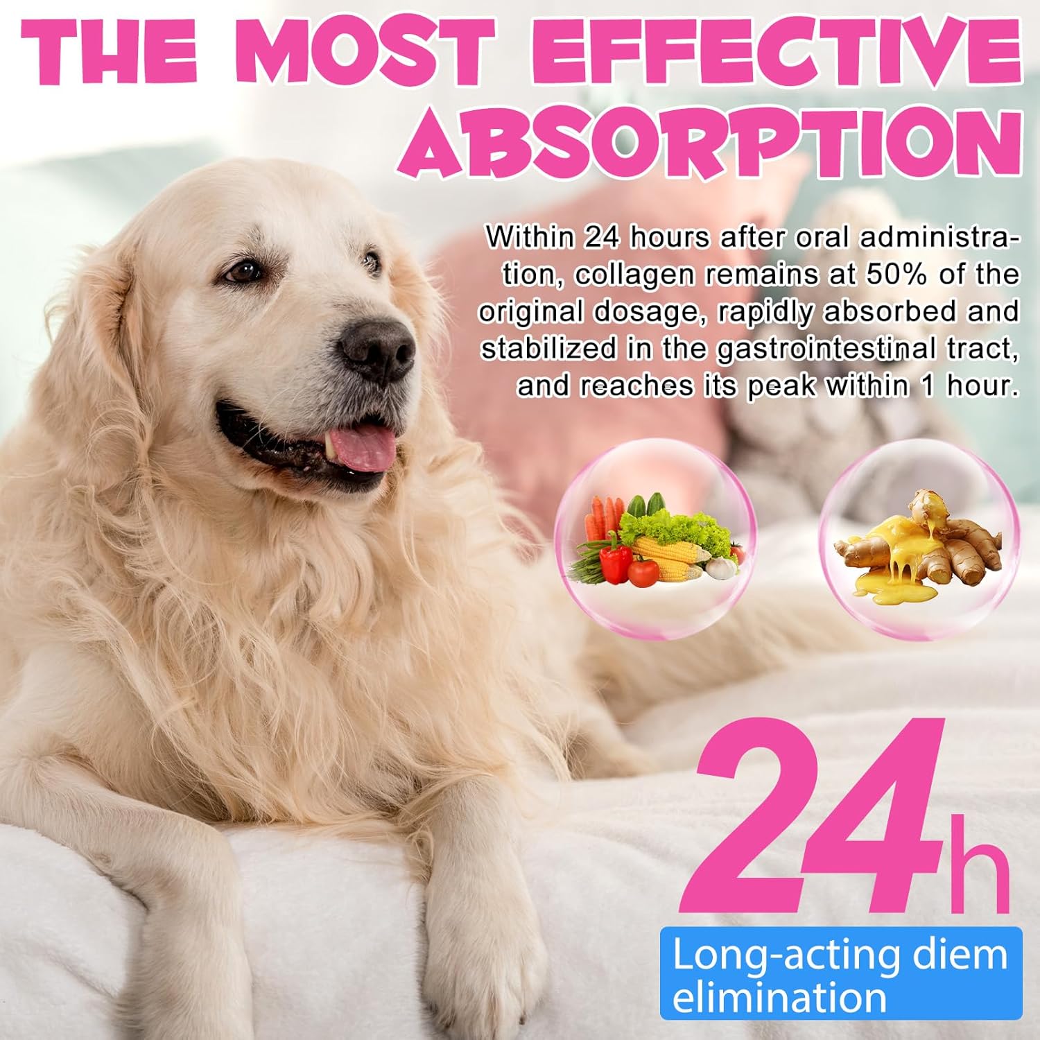 Liquid Collagen for Dogs - Collagen Supplements for Dogs - Itching Relief - Stimulates Collagen with Biotin, MSM & Ginger, Improves Mobility, Skin Health & - Image 6