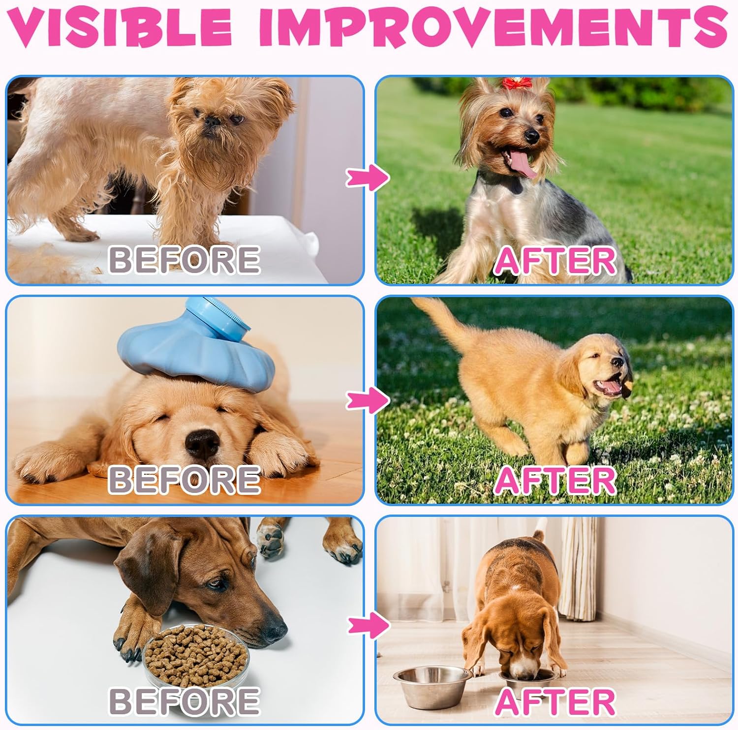 Liquid Collagen for Dogs - Collagen Supplements for Dogs - Itching Relief - Stimulates Collagen with Biotin, MSM & Ginger, Improves Mobility, Skin Health & - Image 7