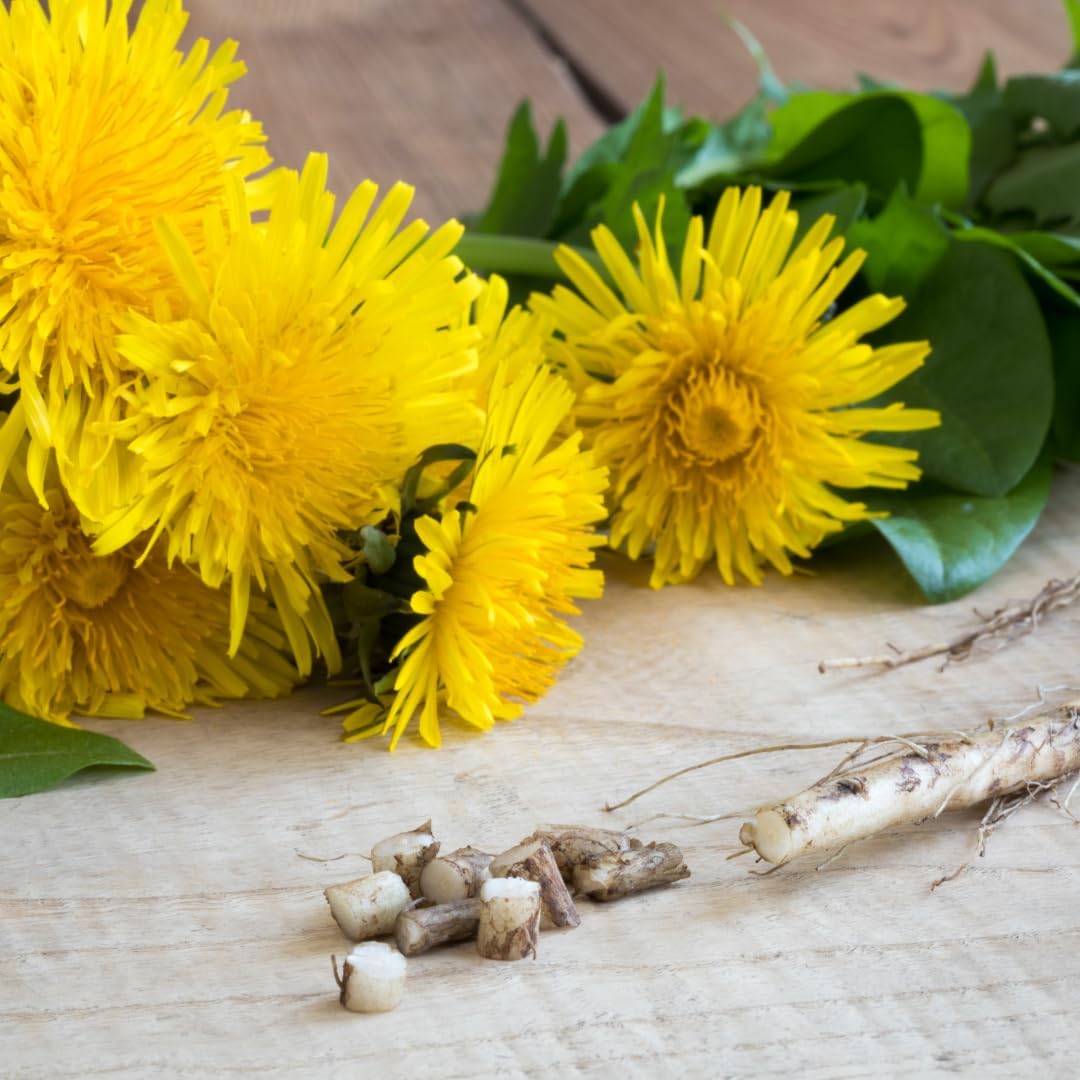 Alpi Nature Dandelion Root Powder BIO 250g, Organic Ground Dandelion Root Powder - Image 6