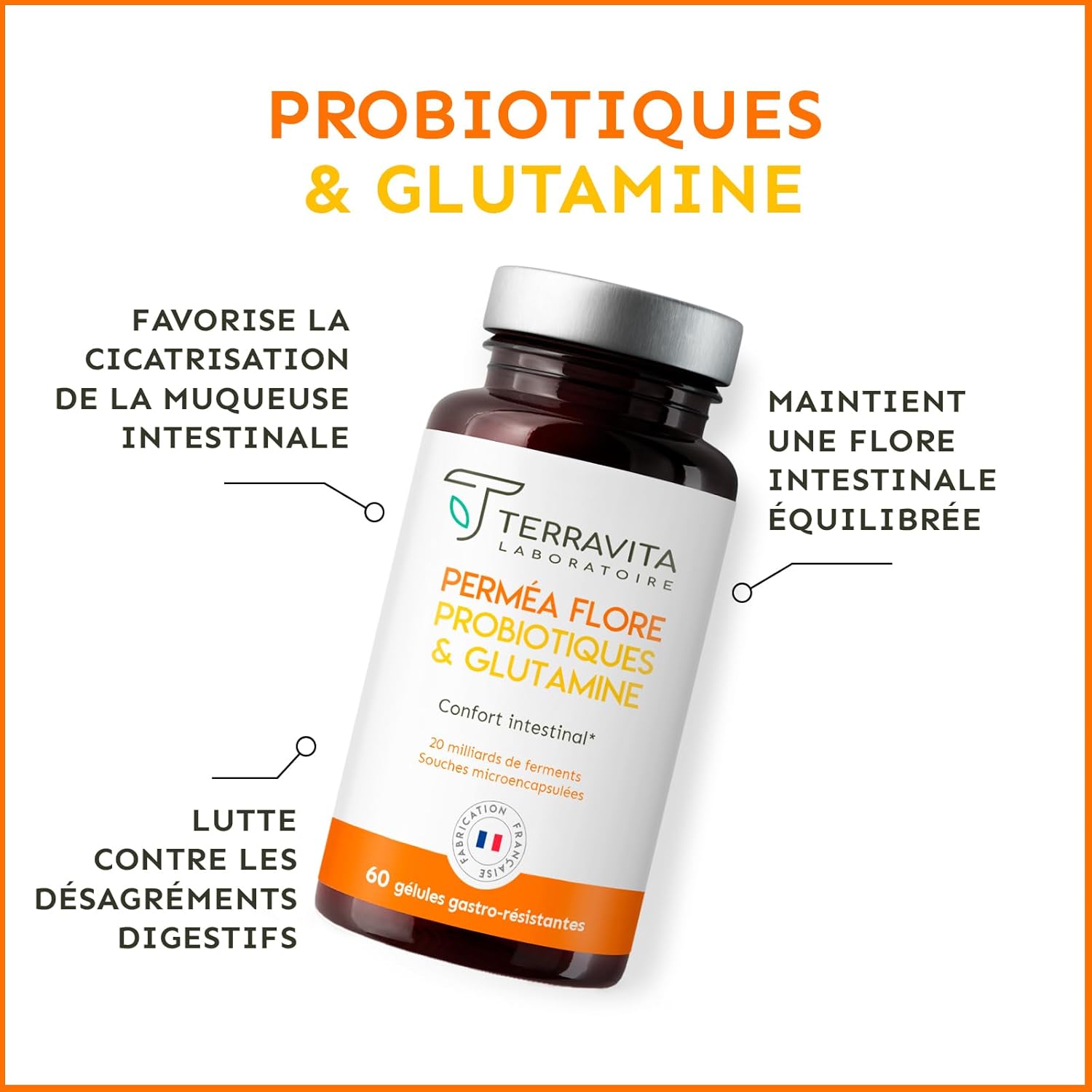 Permea Flora | Probiotics + GLUTAMINE | Intestinal Flora and Healing of the Mucosa | Ideal Against Intestinal Permeability | 60 Gastro-Resistant Capsules | Made in France Terravita - Image 4