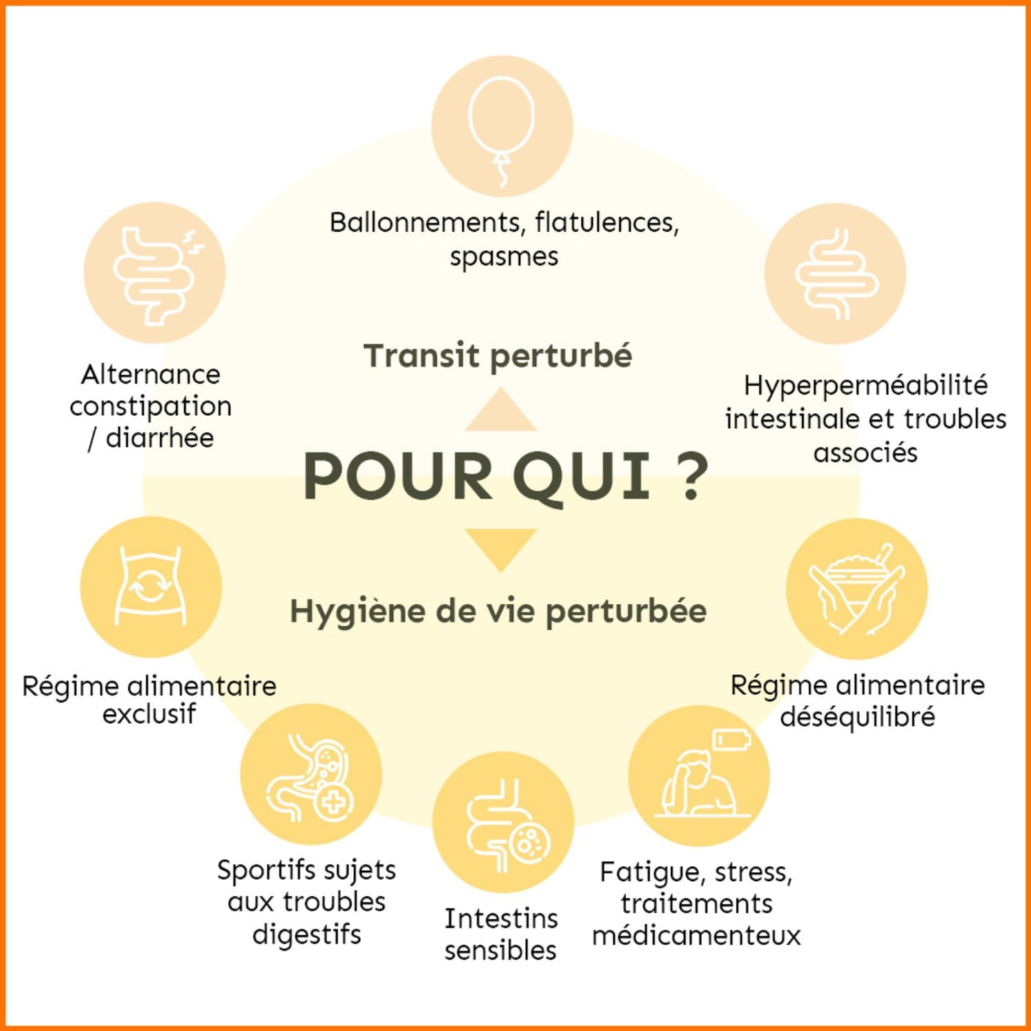 Permea Flora | Probiotics + GLUTAMINE | Intestinal Flora and Healing of the Mucosa | Ideal Against Intestinal Permeability | 60 Gastro-Resistant Capsules | Made in France Terravita - Image 5