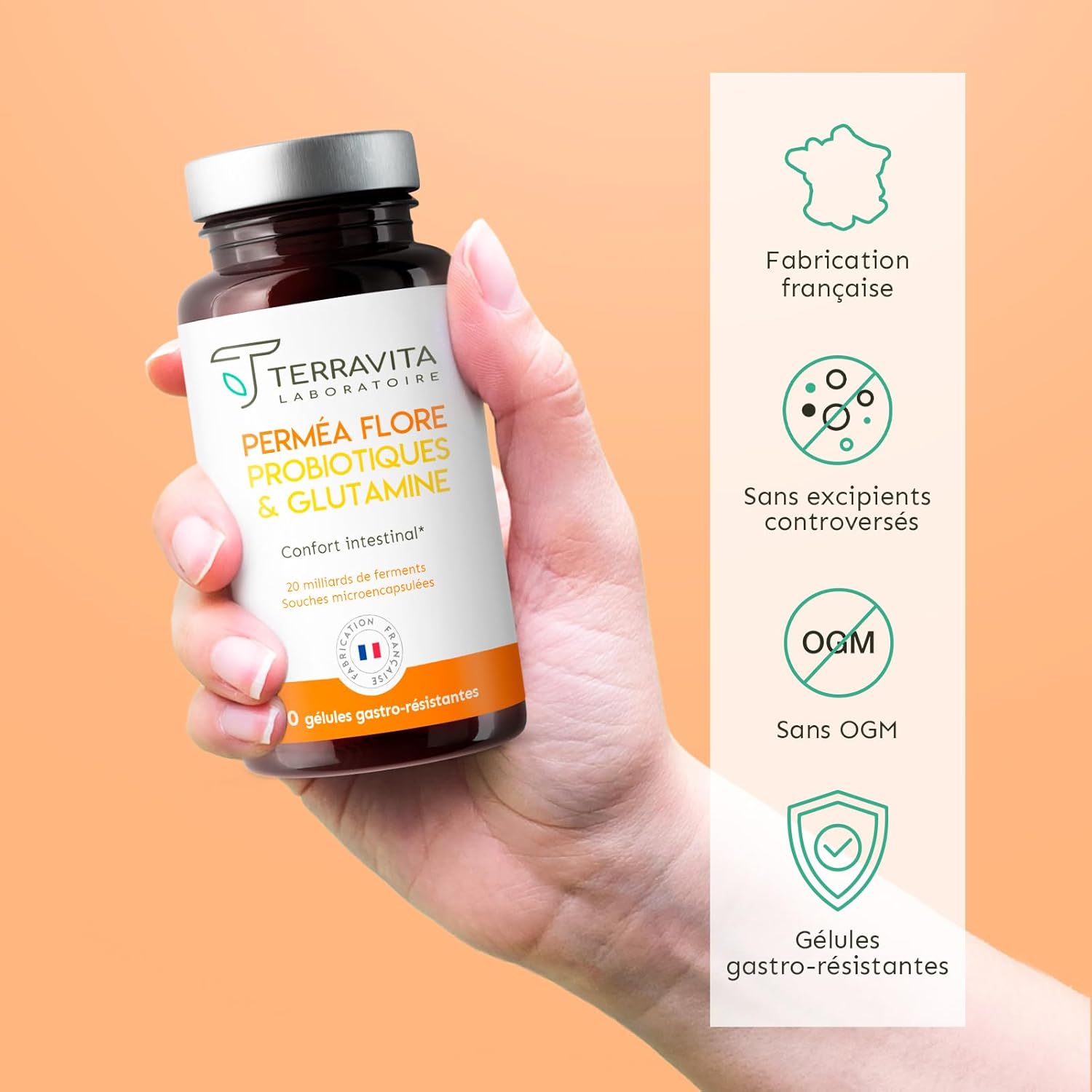 Permea Flora | Probiotics + GLUTAMINE | Intestinal Flora and Healing of the Mucosa | Ideal Against Intestinal Permeability | 60 Gastro-Resistant Capsules | Made in France Terravita - Image 8