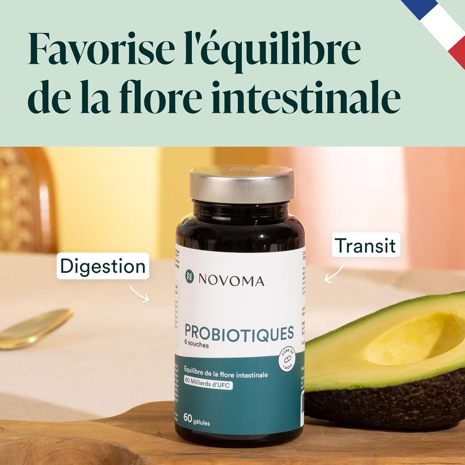 NOVOMA Probiotics, Complex for the Intestinal Flora, 60 Billion CFU/Day, 6 Natural Strains, Lactic Ferments, 60 Vegan Gastro-Resistant Capsules, Made in France - Image 3