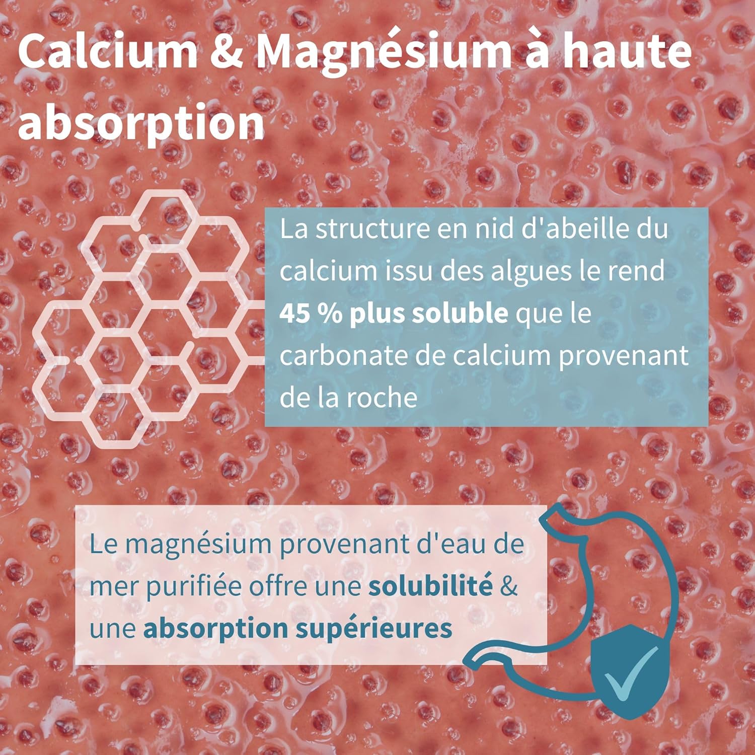 Calcium & Marine Magnesium - Mineral Complex with Vitamin D3, K2 and Bore, for Bone Health, 100% Vegan, No Additives, 60 Tablets - by Igennus - Image 4