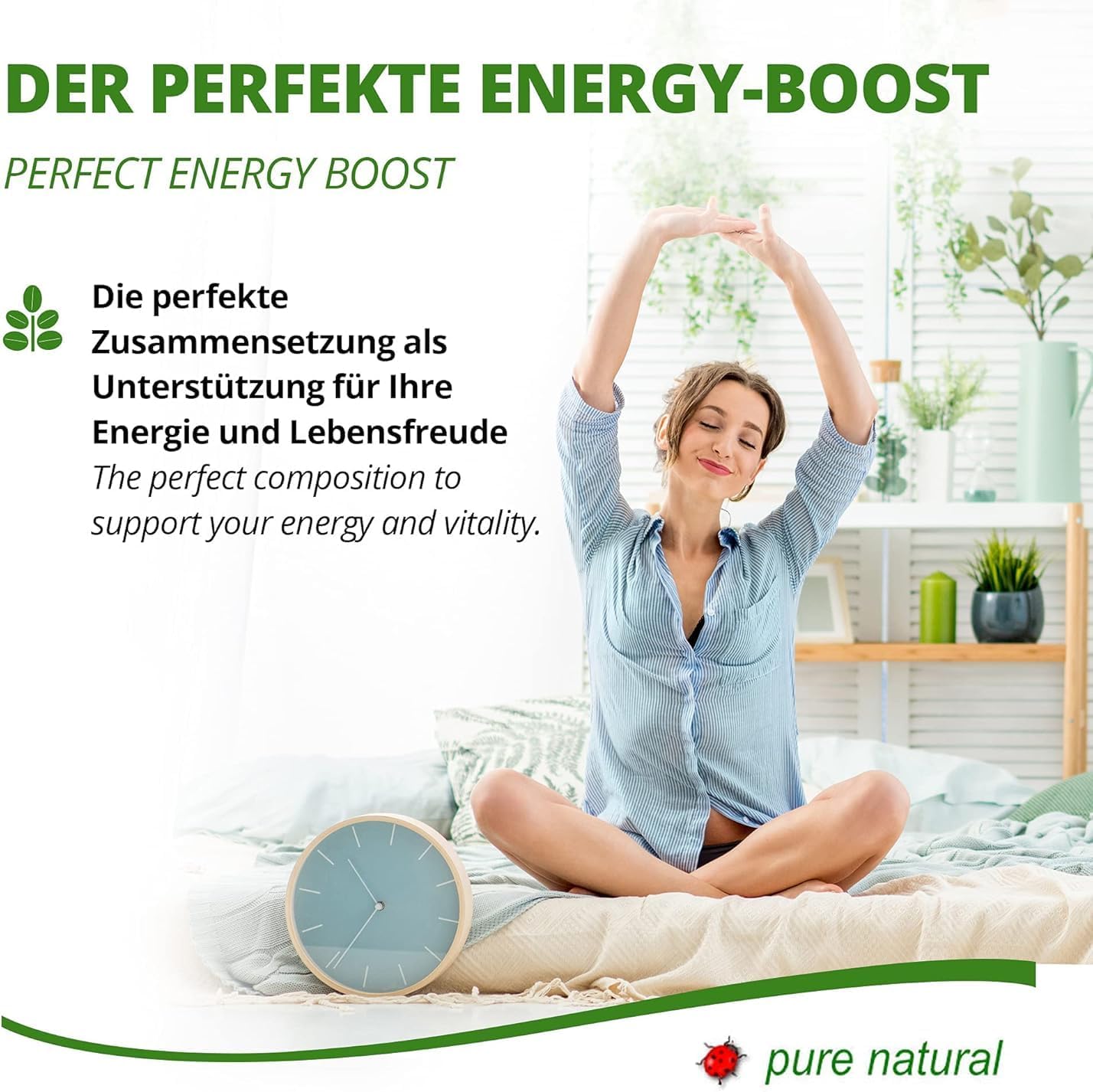 Moringa Energy Tablets 3800mg -180 Days Supply - Moringa High Dose Vitamins Protein Amino Acid Best Quality Ayurveda -Vegan & Gluten Free-by MoriVeda-360 Tablets - Image 5