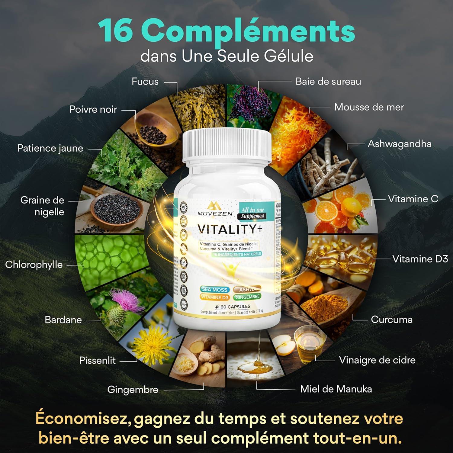 VITALITY + 16-in-1 Anti-Stress Multivitamin, Sea Moss, Ashwagandha & Turmeric, Vitamins C & D, Energy, Fatigue Reduction, Immunity & Mental Wellness, 60 Vegan Softgels - Image 3
