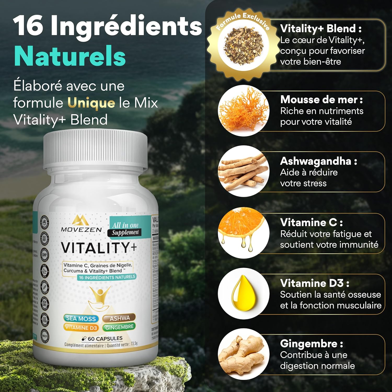 VITALITY + 16-in-1 Anti-Stress Multivitamin, Sea Moss, Ashwagandha & Turmeric, Vitamins C & D, Energy, Fatigue Reduction, Immunity & Mental Wellness, 60 Vegan Softgels - Image 5