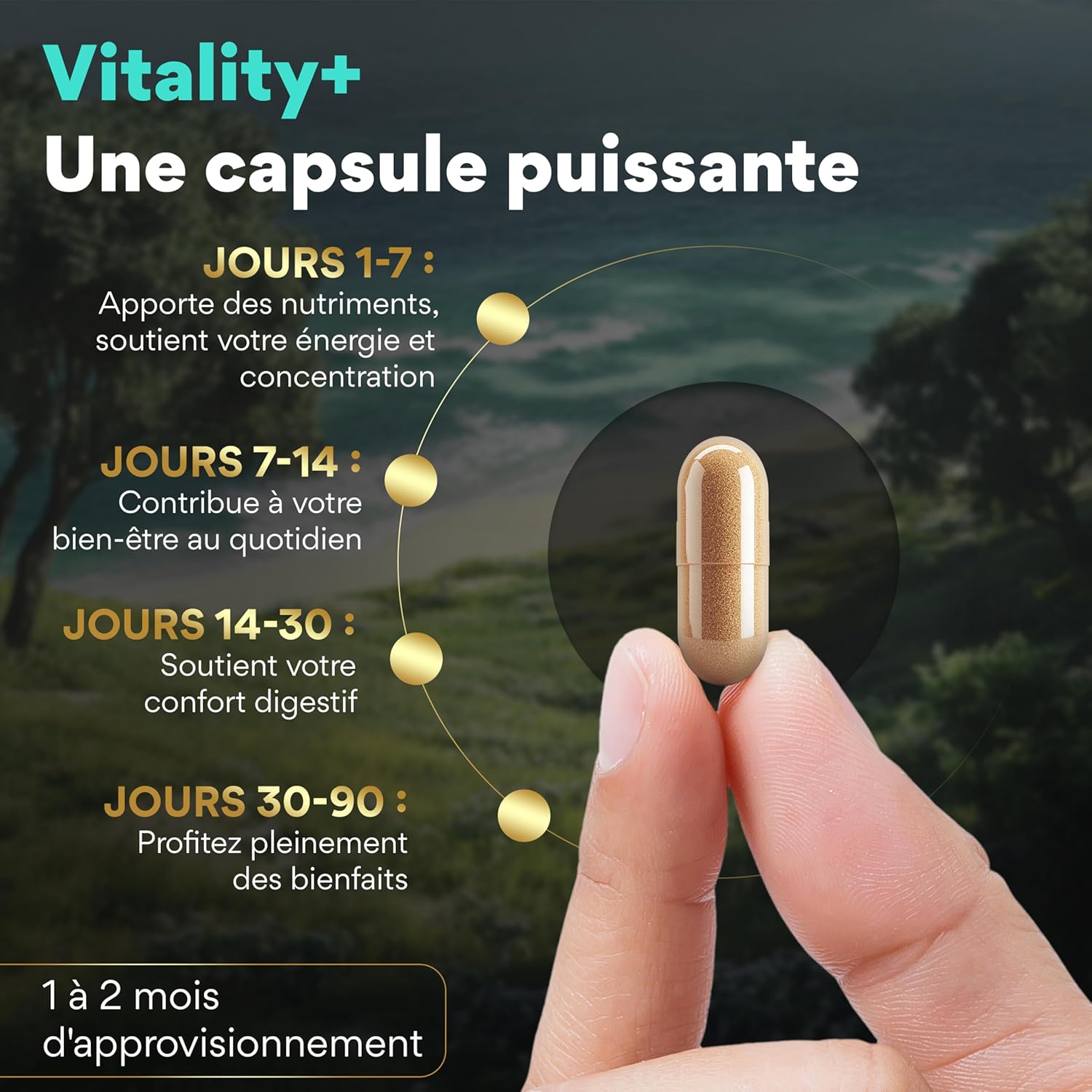 VITALITY + 16-in-1 Anti-Stress Multivitamin, Sea Moss, Ashwagandha & Turmeric, Vitamins C & D, Energy, Fatigue Reduction, Immunity & Mental Wellness, 60 Vegan Softgels - Image 6