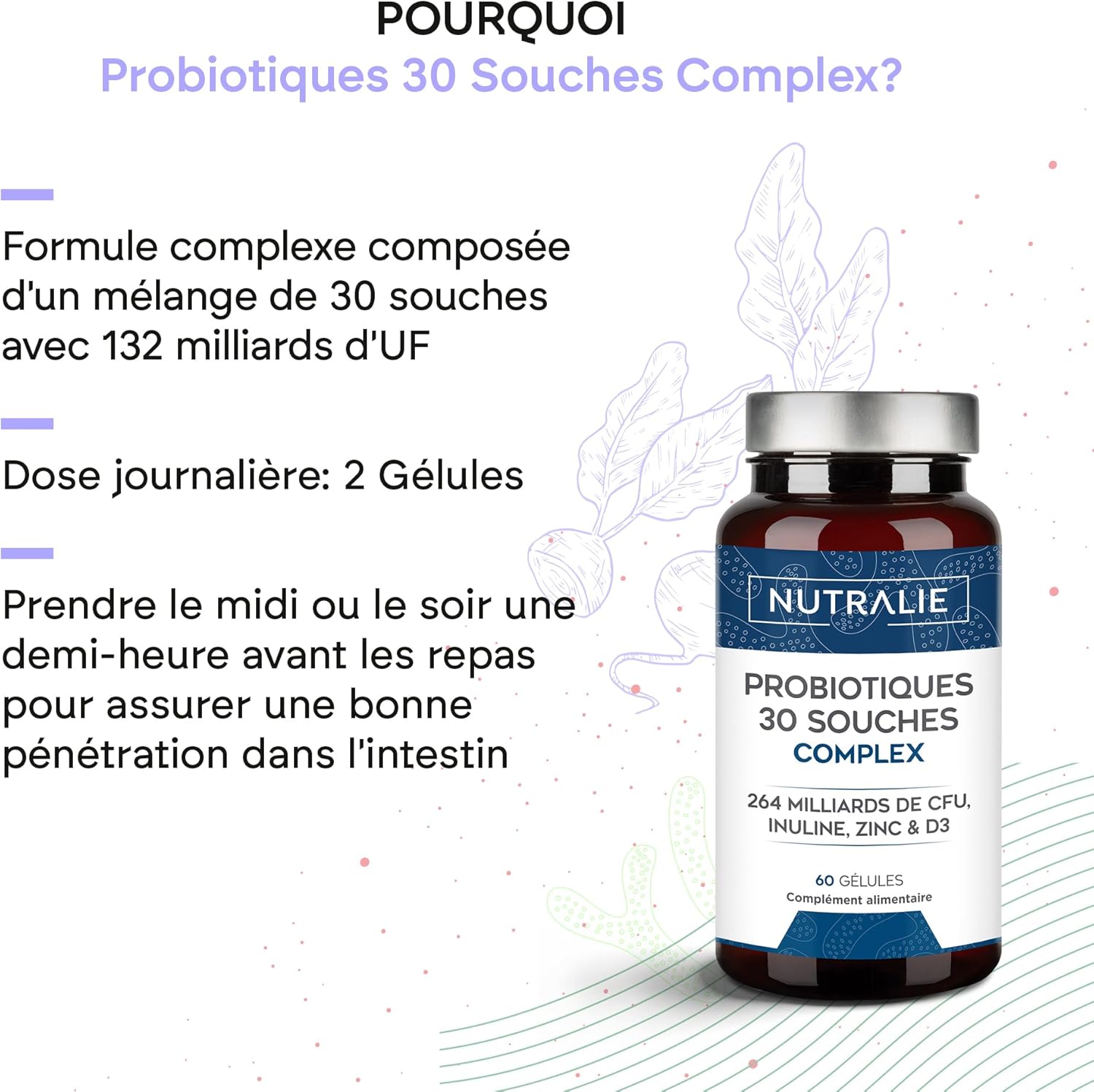 Probiotics and Intestinal Prebiotics - 30 Strains - 264 Billion CFUs per Dose - Biprotics 30 Strains Complex 60 Capsules Nutralie - Image 4