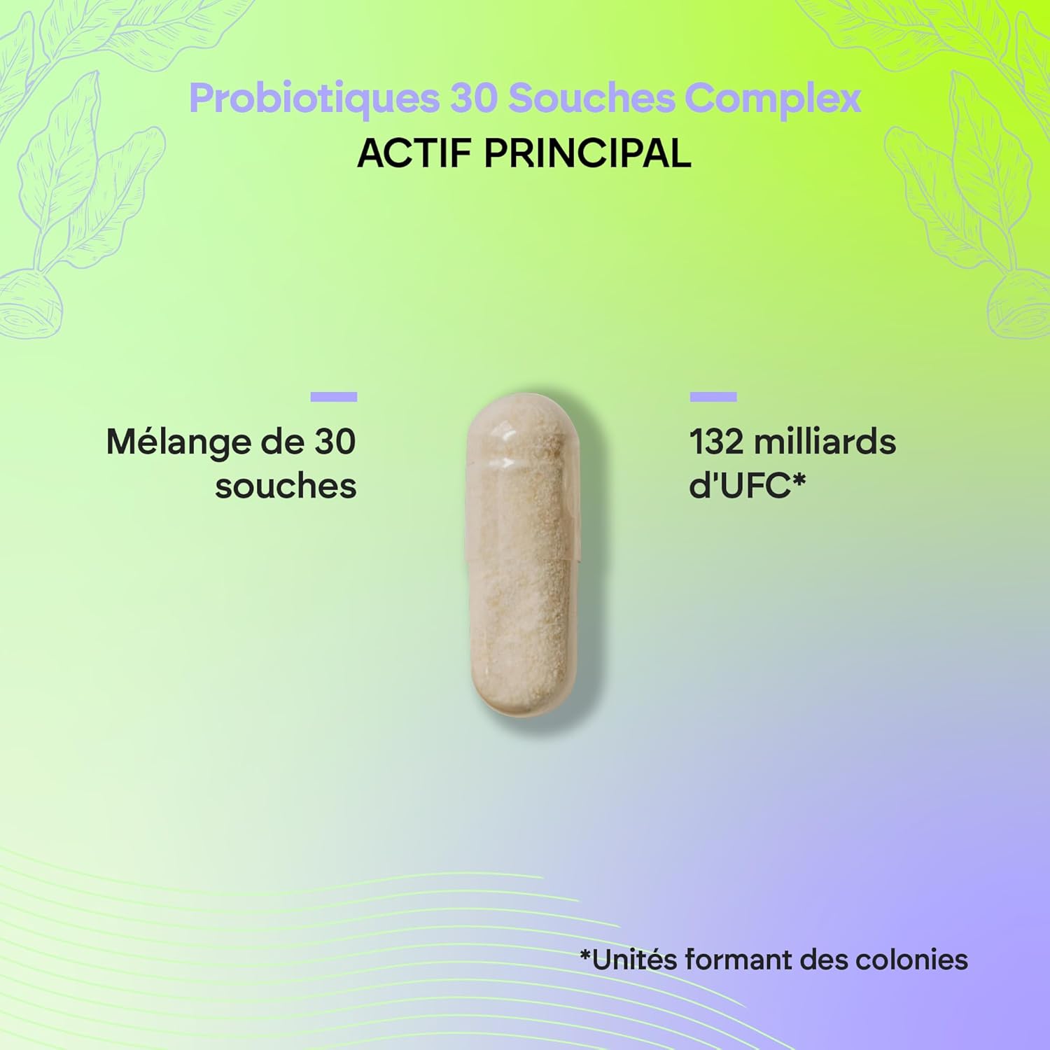 Probiotics and Intestinal Prebiotics - 30 Strains - 264 Billion CFUs per Dose - Biprotics 30 Strains Complex 60 Capsules Nutralie - Image 5