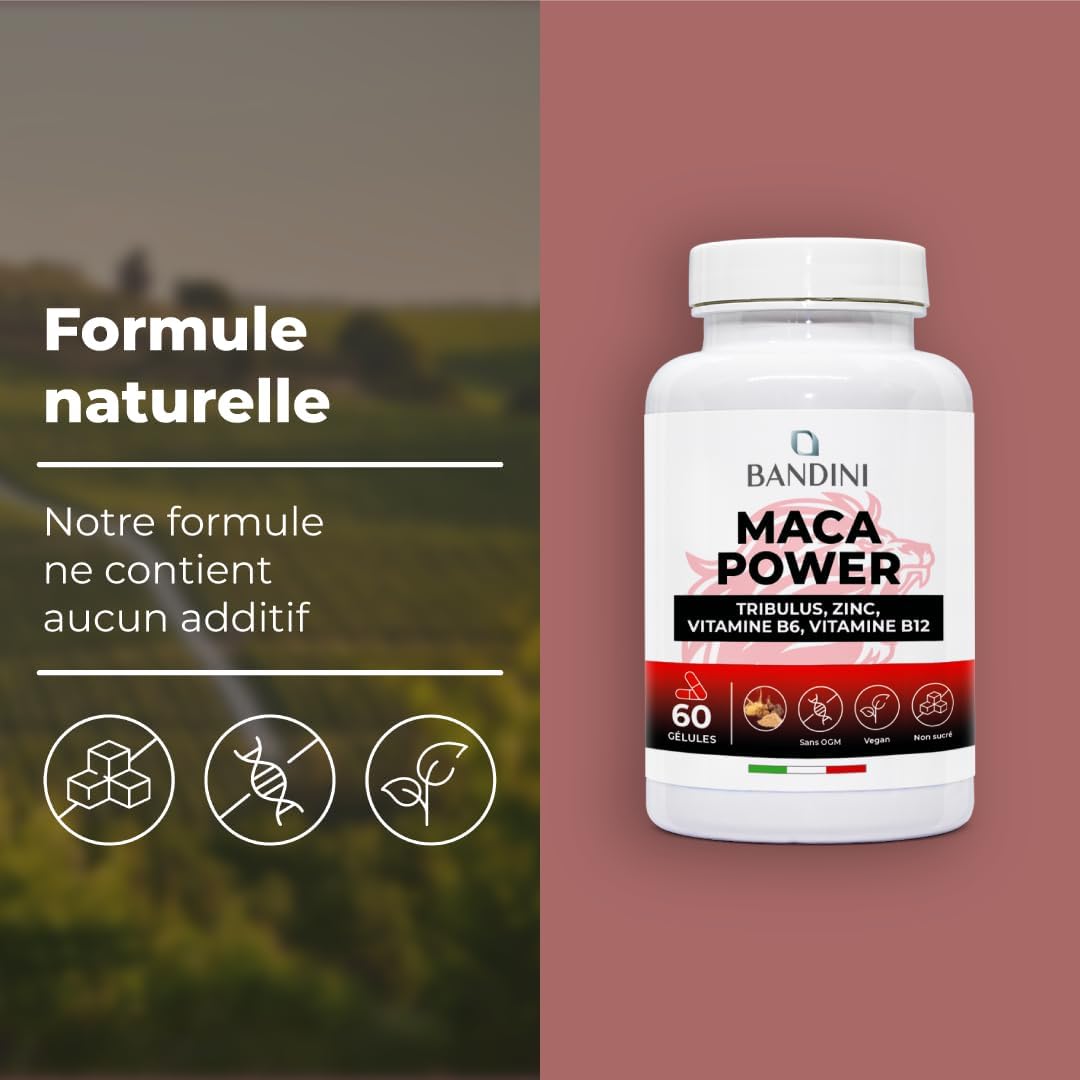 Bandini® MACA POWER 60 Capsules | Food Supplement with Maca & Tribulus Terrestris with Arginine + Zinc + B6 + B12 | Stress, Immune System, Physical and Mental Fatigue | Non-GMO - Image 5