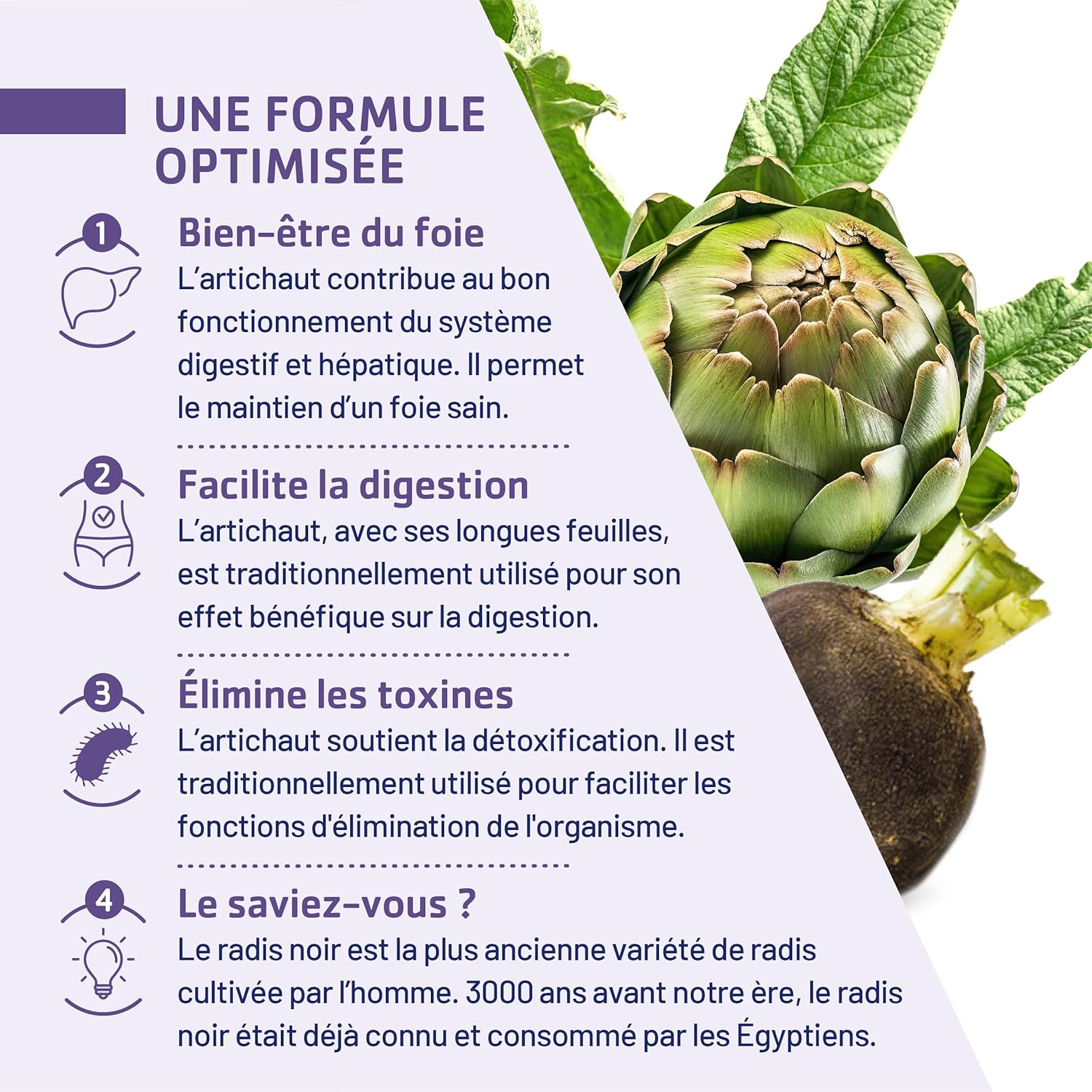 JUVAMINE - Black Radish Artichoke - Liver Detox - Depurative - Liver Wellness - Detoxification - Intestinal Comfort - 10 ampoules x 10ml - 10 Day Program- Certified Organic - Made in France - Image 5