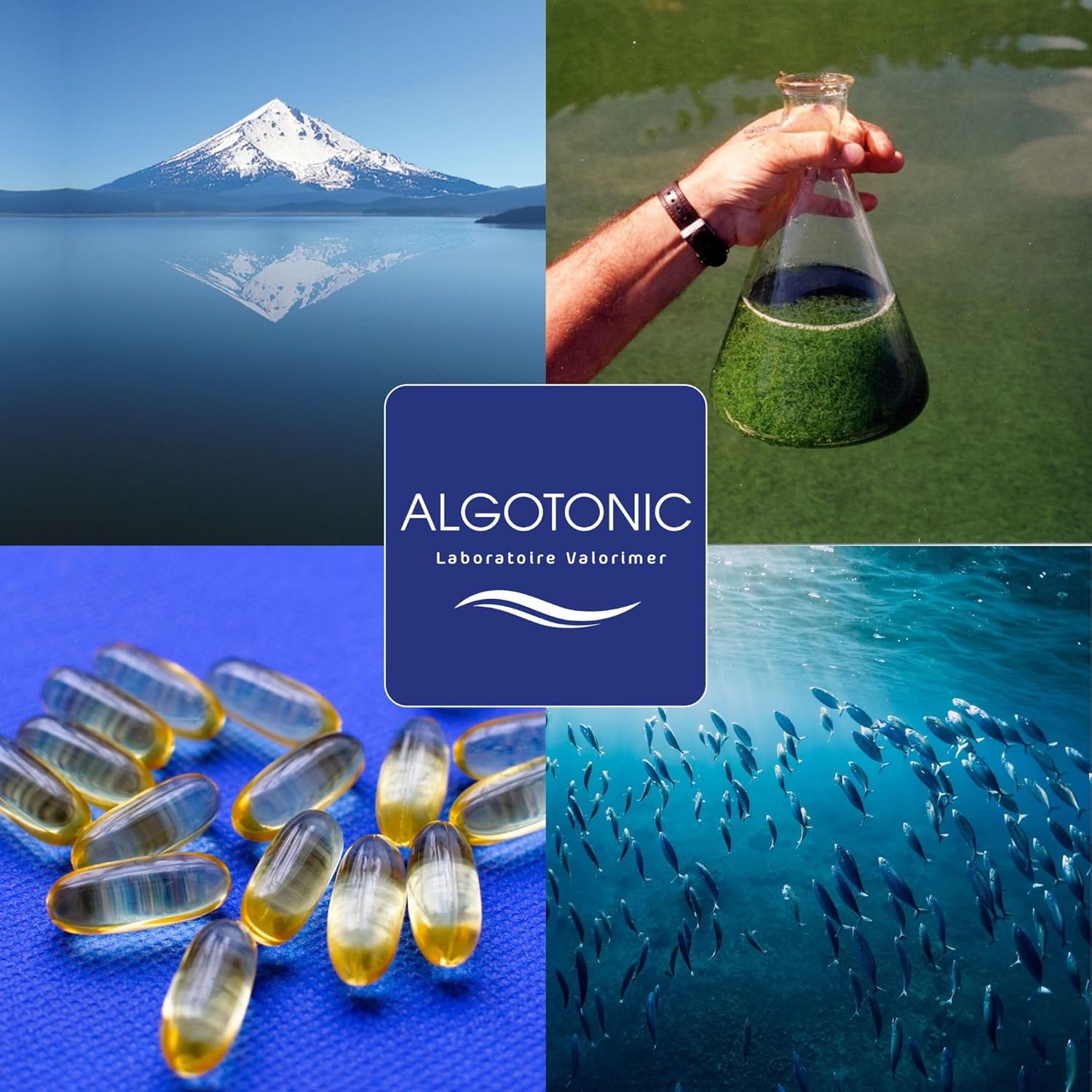 100% PURE ORGANIC Spirulina - 2500 mg per day - 150 tablets - 30 day cure - Phycocyanin - Proteins, Vitamins and Minerals - Strengthens the immune system, vitality and tone - Image 8