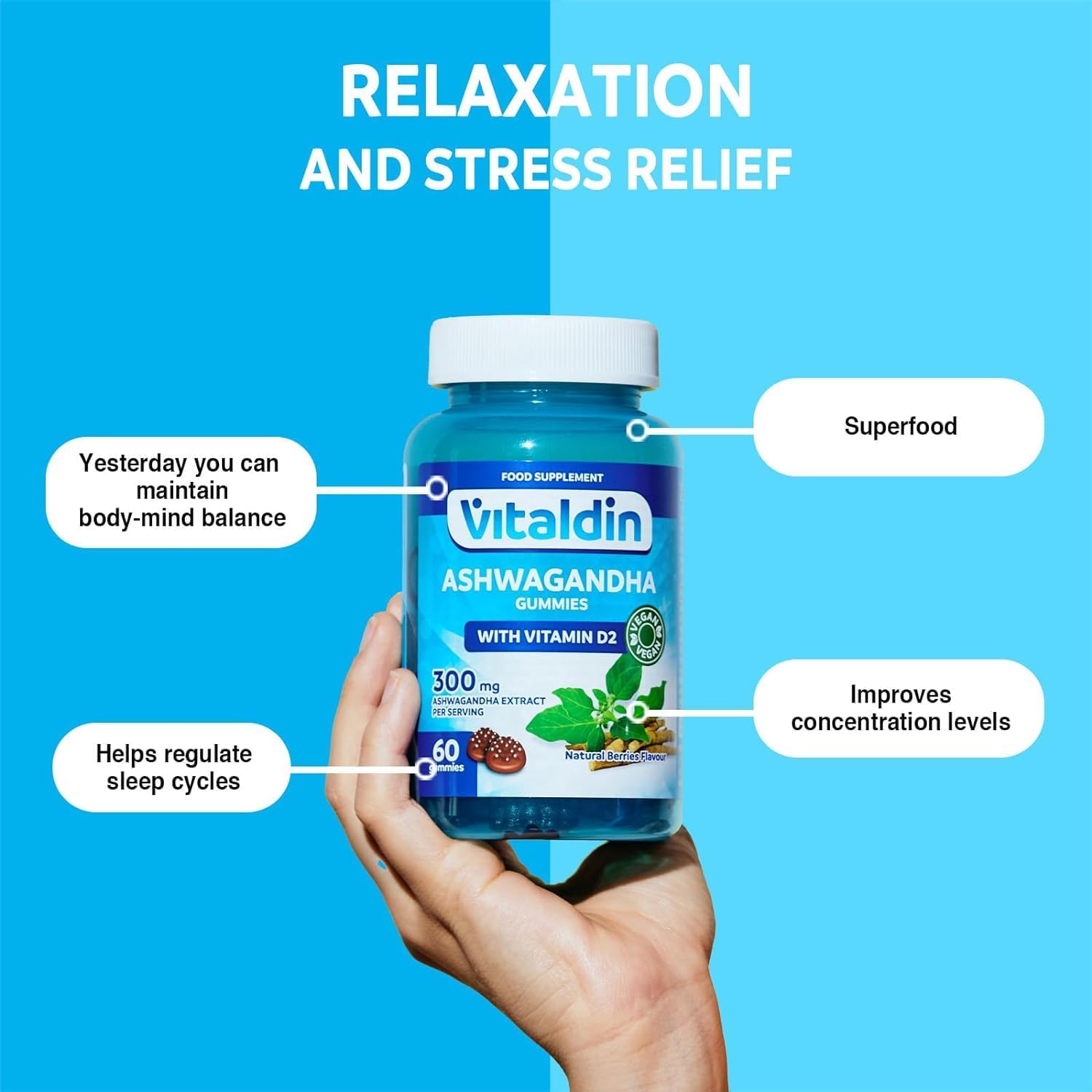 VITALDIN Ashwagandha Gummies – 300 mg Ashwagandha Root Extract KSM-66 & 1,000 IU Vitamin D2 – 60 Gums (for 1 Month) Red Fruit Taste – Adaptogen Anti-Stress; Calm and Relaxation – Vegan - Image 3