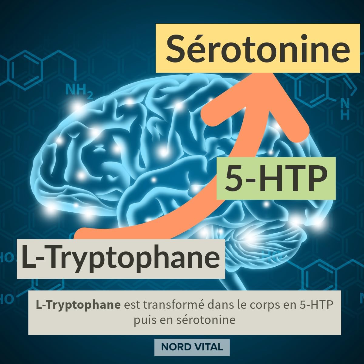 Serotolift® Original – Precursors Serotonin & Dopamine – Rhodiola Rosea, L-Tryptophan, L-Tyrosine, L-Phenylalanine, Chromium, Zinc, Vit. D3, B5, B6, B9, B12 – Vegan – Made in Germany - Image 6