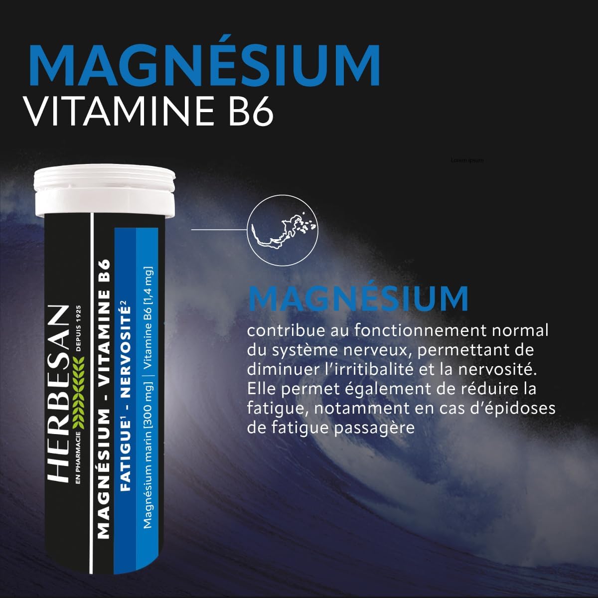 HERBESAN -MAGNESIUM & VITAMIN B6-Stress, Nervousness, Transient Fatigue-Mint Flavour-French Manufacture-Tube of 15 Chewable Tablets - Image 3