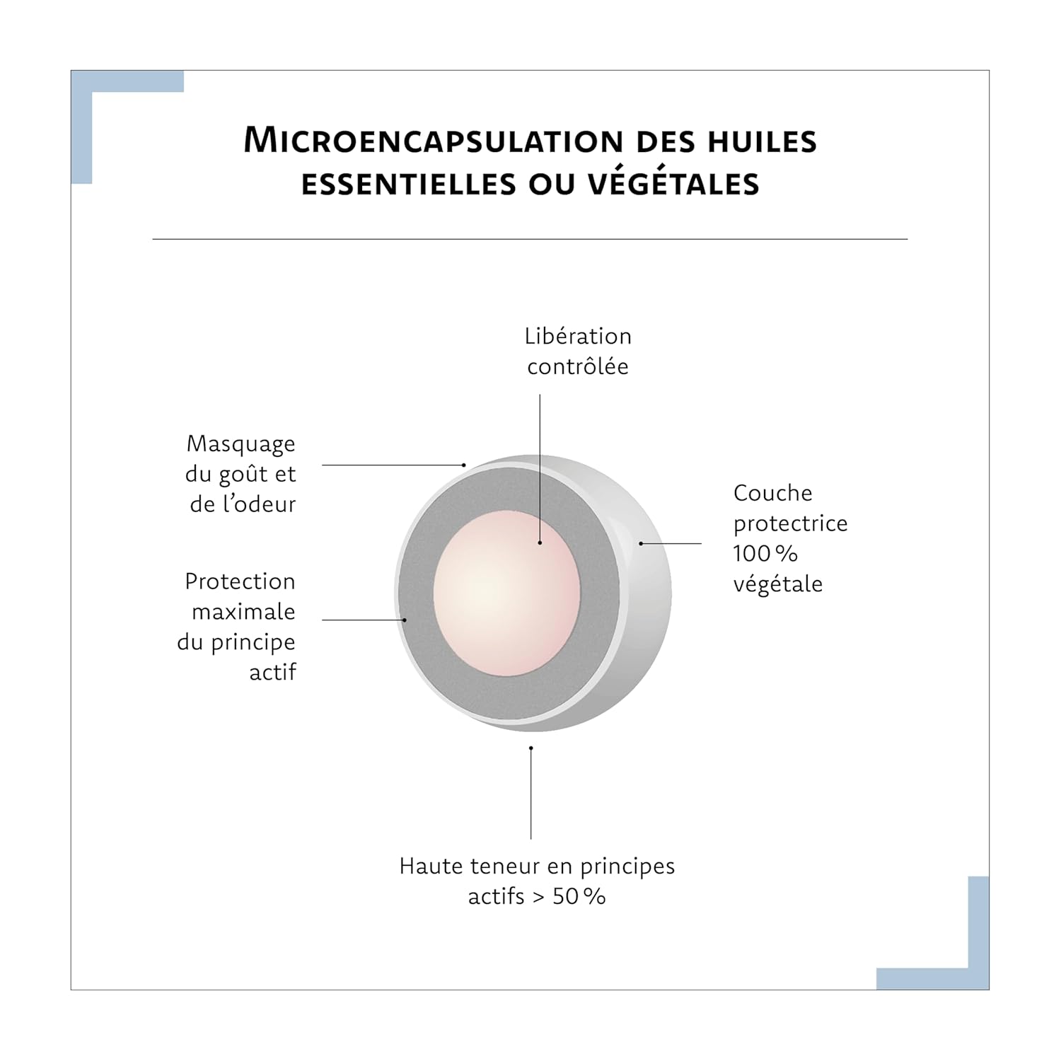 Zenactif Anti-Stress Food Supplement Rhodiola, Magnesium, Melisse, Glycine, Taurine & Vitamin B6 Aragan 30 Capsules - Image 8