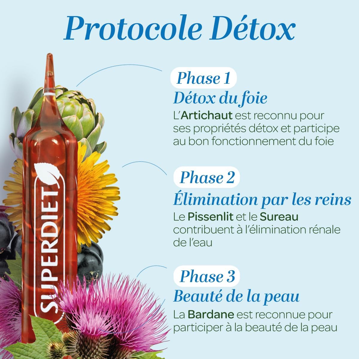 SUPERDIET - ORGANIC DETOCOL – Detox - 3 Phase Program - Phytotherapy – Made in France – 30 ampoules 10 ml - Image 3