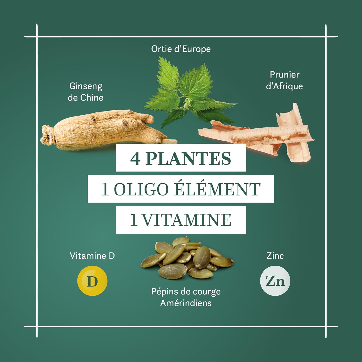 BLANCHE BRESSON - Phyto Prosta 5 Plus - Men's Prostate & Urinary Comfort - Natural Active Ingredients - Nettle, African Plum Tree, Pumpkin Seed, Ginseng - 60 Capsules - 30 Day Treatment - Made in - Image 5