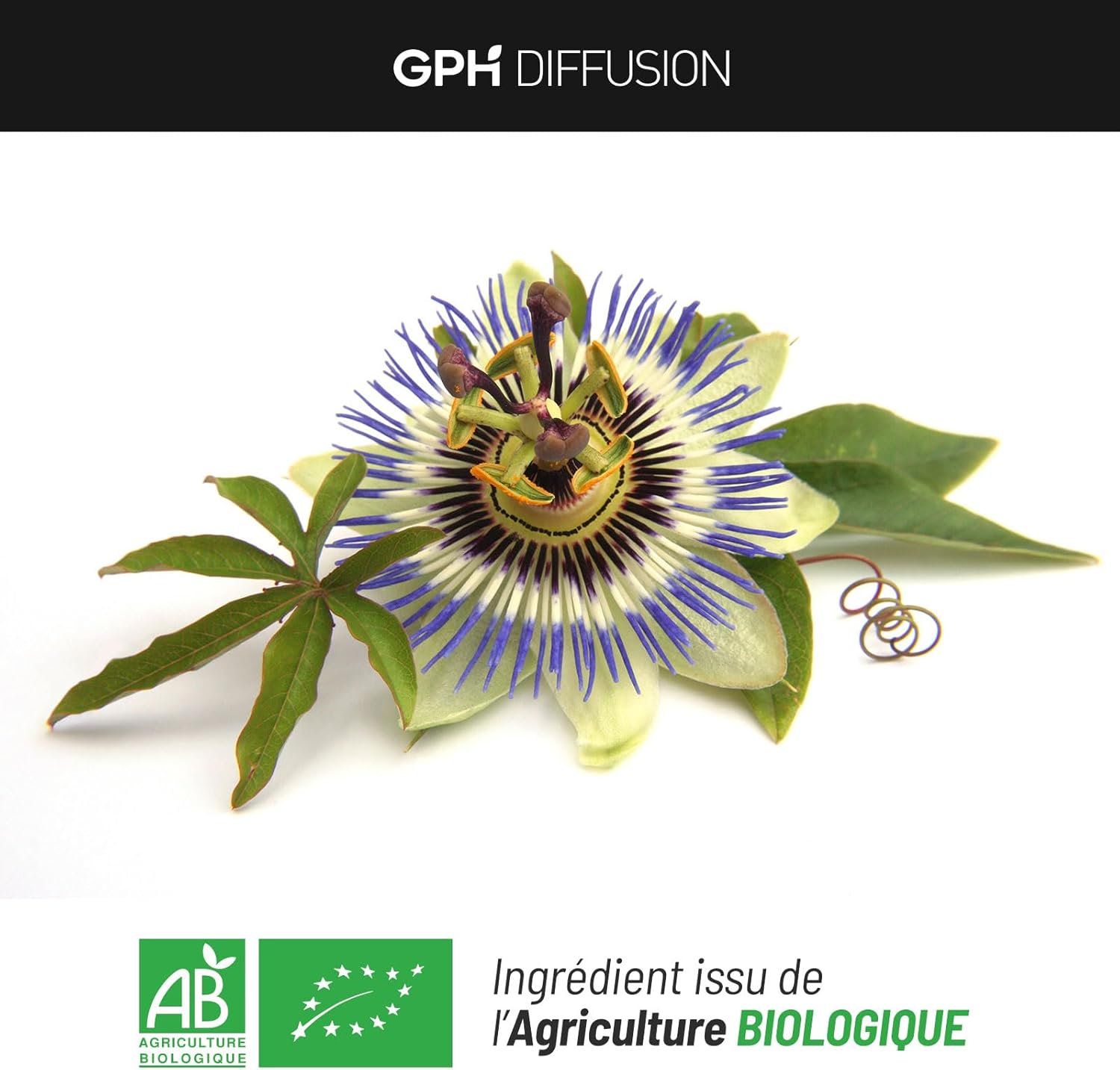 Passiflora incarnata Organic Passionflower 230 mg - 200 Vegetable Capsules - Image 7