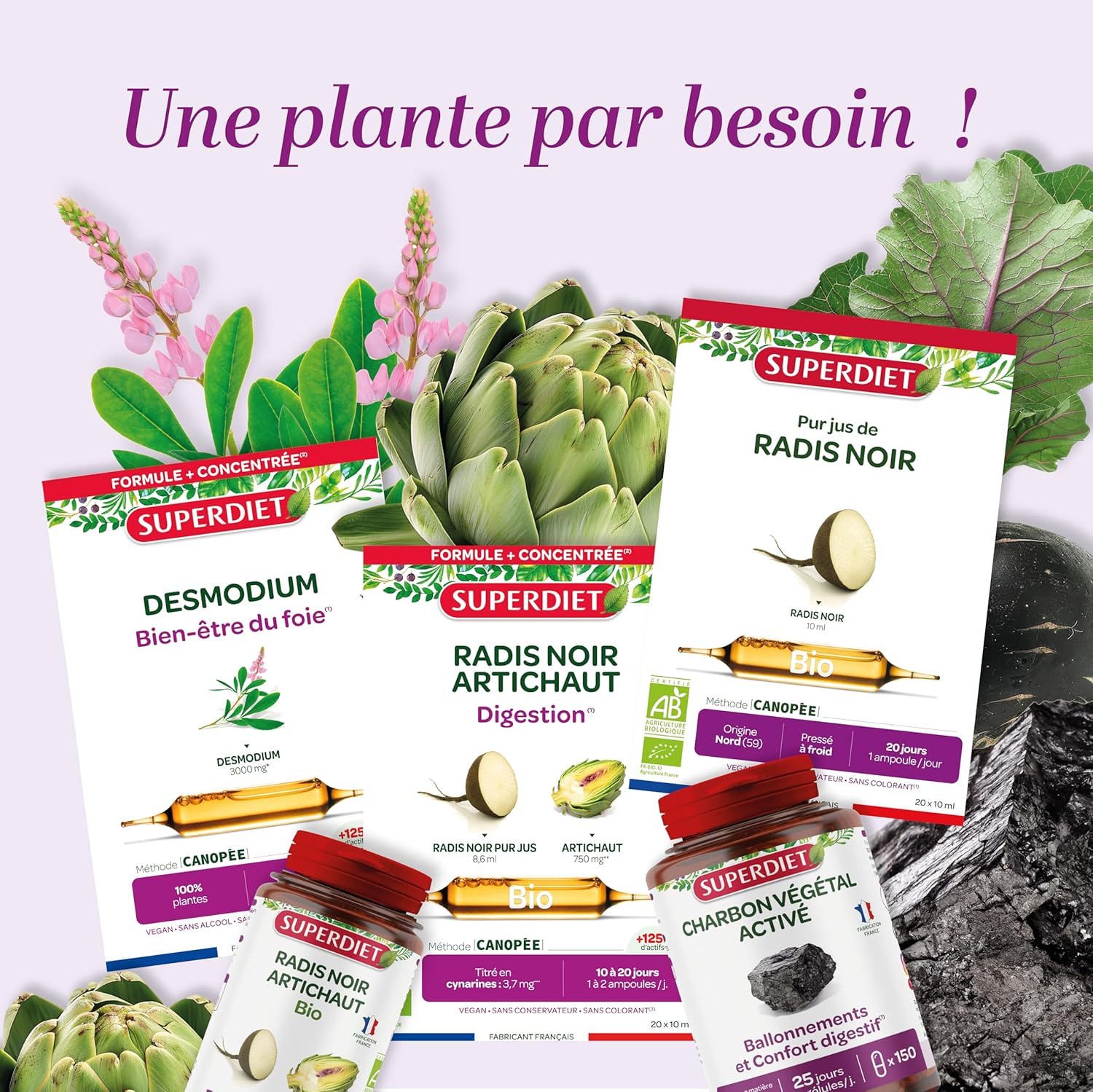 SUPERDIET - Organic Linden sapwood - Digestive well-being - 100% Pure juice - Made in France - 20 ampoules of 10 ml - Image 8