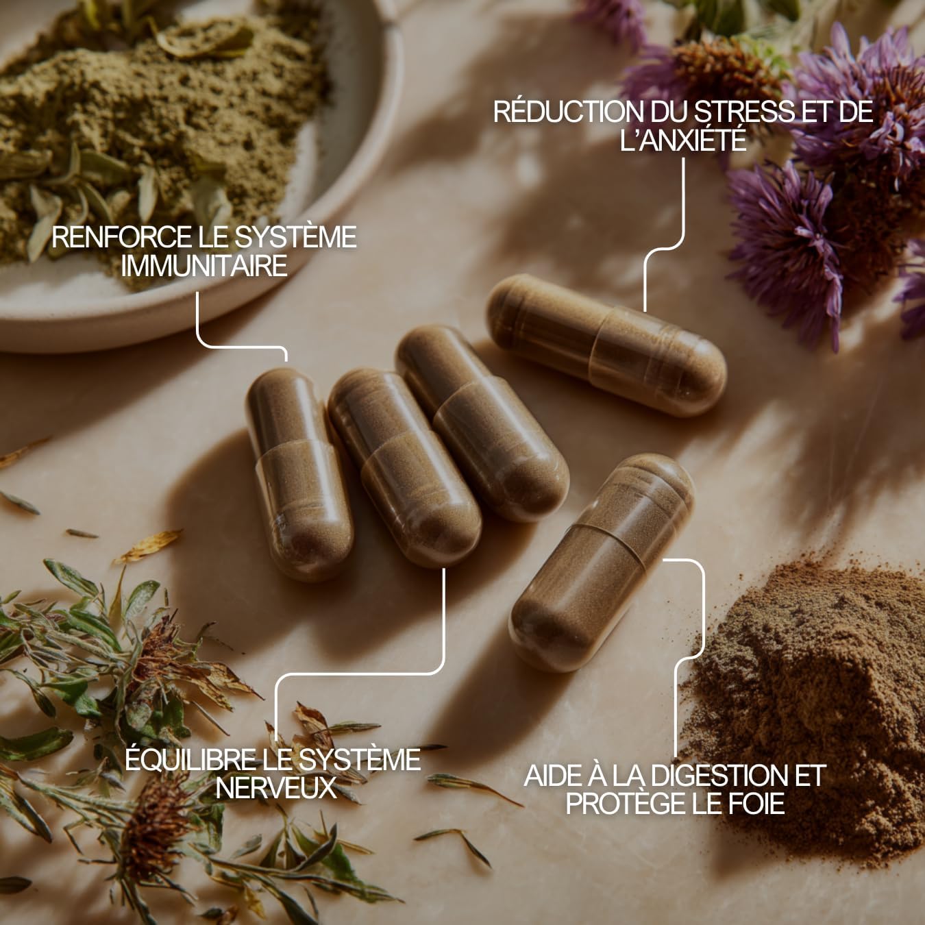 Sacred Basil Tulsi 500mg – 60 Capsules – Anti-Stress, Enhanced Immunity and Soothing Digestion - Image 5