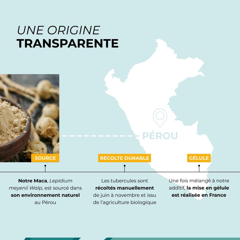 Maca Jaune - Cuure - Natural Root of Peru - Physical and Sports Perfomances - Fertility - Hormone Regulator - 60 Days - Packaged and Formulated in France - Image 5