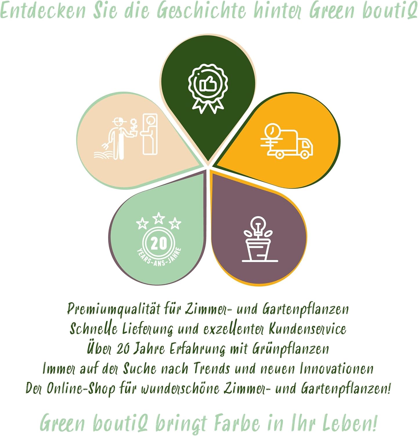 GreenboutiQ Passion Flower Tricolour White Purple Pink Flowers Low Maintenance 3 Plants Pot 11 cm Height 40 cm - Image 8