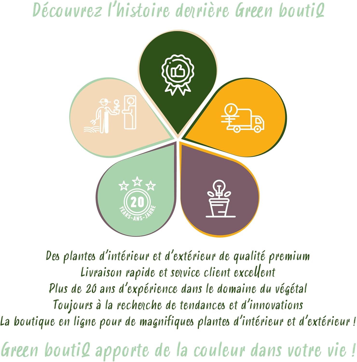 GreenboutiQ Passion Flower Tricolour White Purple Pink Flowers Low Maintenance 3 Plants Pot 11 cm Height 40 cm - Image 10