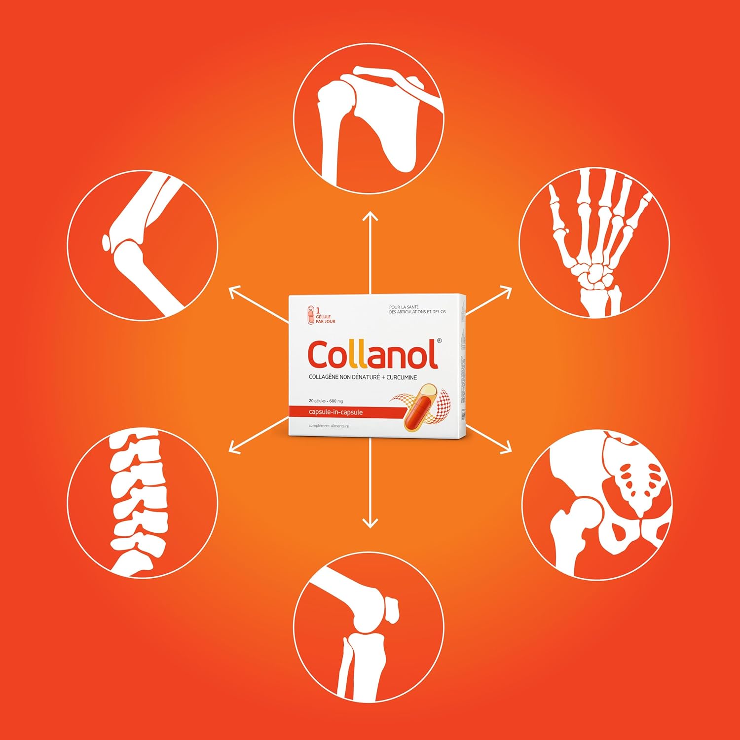 Collanol – Innovation in Healthy Joint Care Liquid Formula in a Double Capsule 3D Collagen + Micellar Extract of Turmeric Roots 1 Capsule/Day (1 Pack) - Image 6