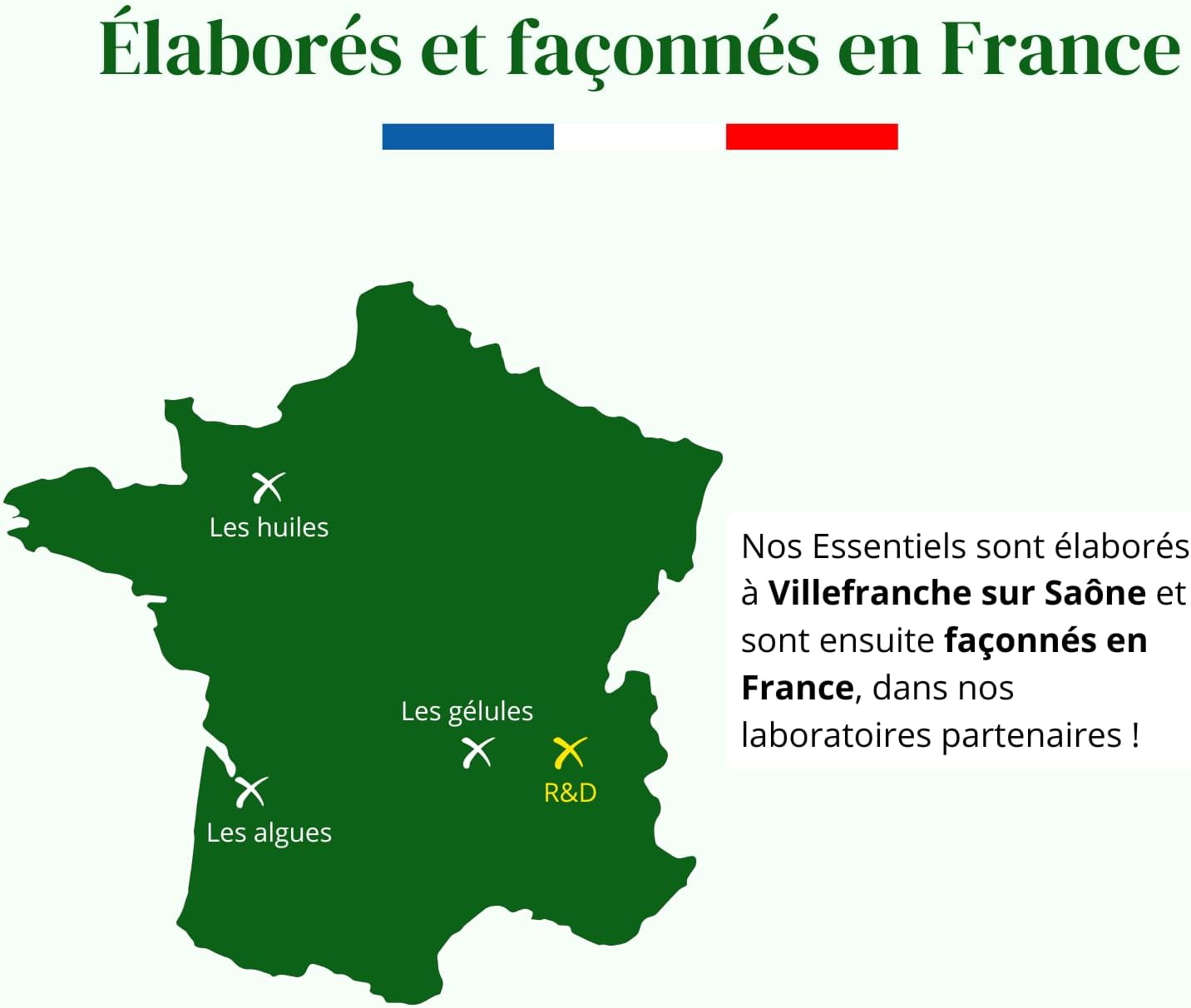 Probiotics Lactic Ferments | 30 Billion CFU/day | Prebiotics | Active Bacteria | Intestinal Flora | 60 Gastro-Resistant Capsules | Vegan | Argalys Essential - Image 9