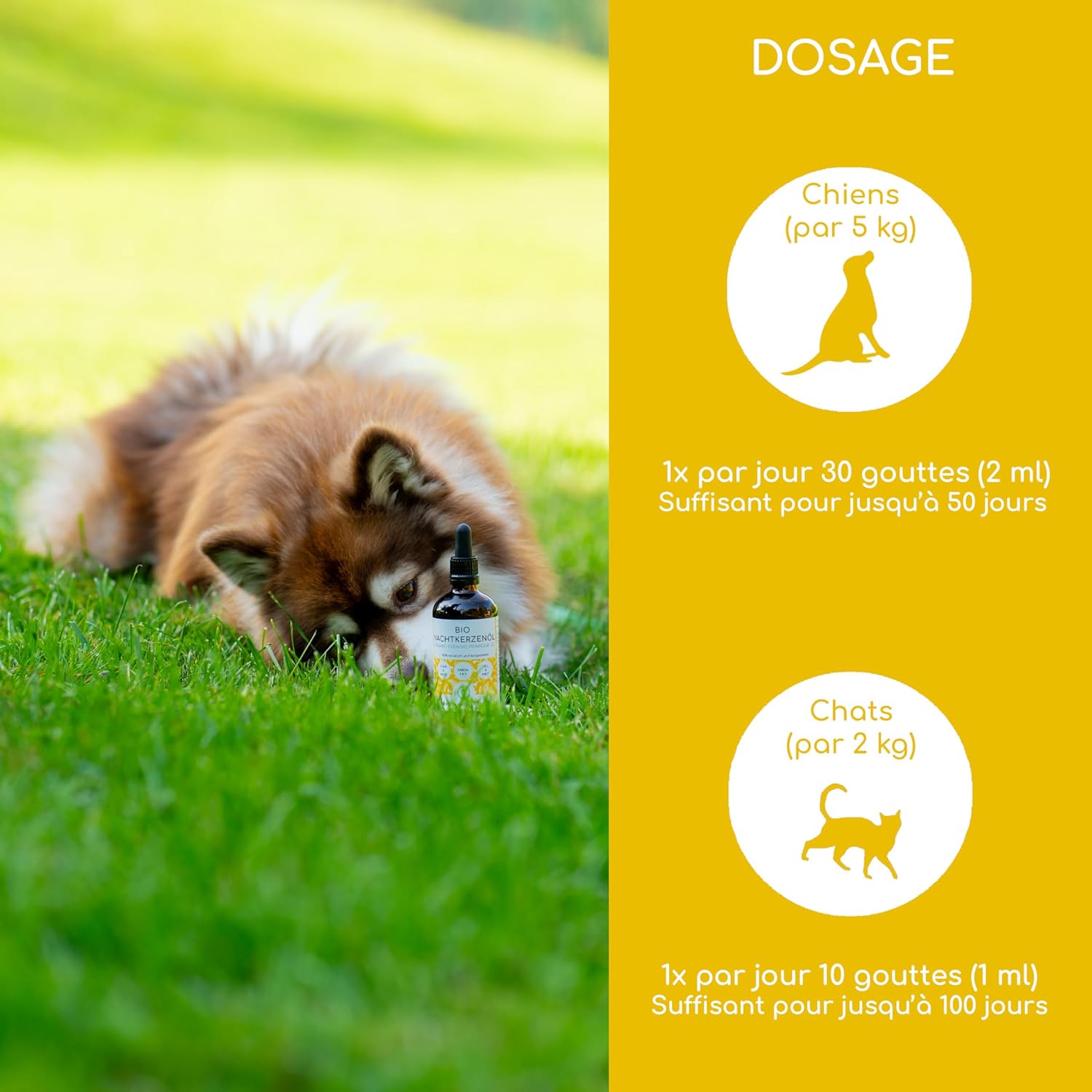 Wolfsbacher Organic Evening Primrose Oil 100 ml for Dogs and Cats, Cold Pressed - Image 5