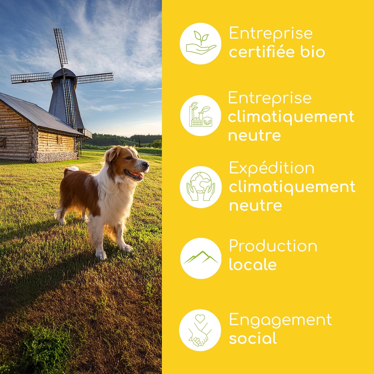 Wolfsbacher Organic Evening Primrose Oil 100 ml for Dogs and Cats, Cold Pressed - Image 9