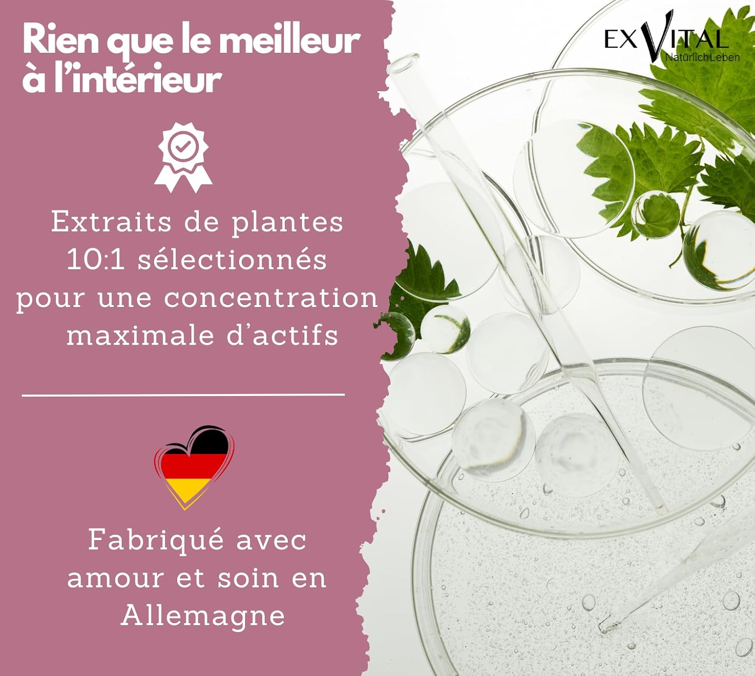 EXVital Biotin Complex, Hair Vitamins, With Dwarf Palm, Squash Seed and Nettle Root Extracts, 240 Vegan Capsules, Enriched with Selenium and Zinc, Lab Tested - Image 8