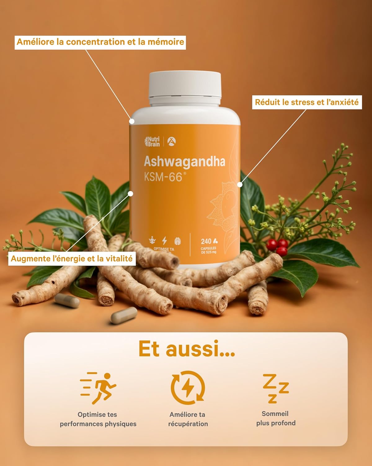 Ashwagandha KSM-66® 9000mg - 240 Capsules | Extra Strength 5% Withanolides | Anti Stress, Sleep, Energy | Long Lasting | High Dosage: 600mg Concentrate Extract 15:1 - Image 7