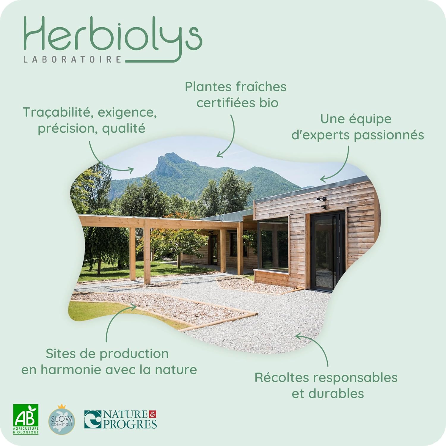 Herbiolys | Organic Fresh Plant Extract | Rhodiola (Sedum roseum) | Stress, Tone & Fertility | Organic Herbal Medicine | 50 ml - Image 4