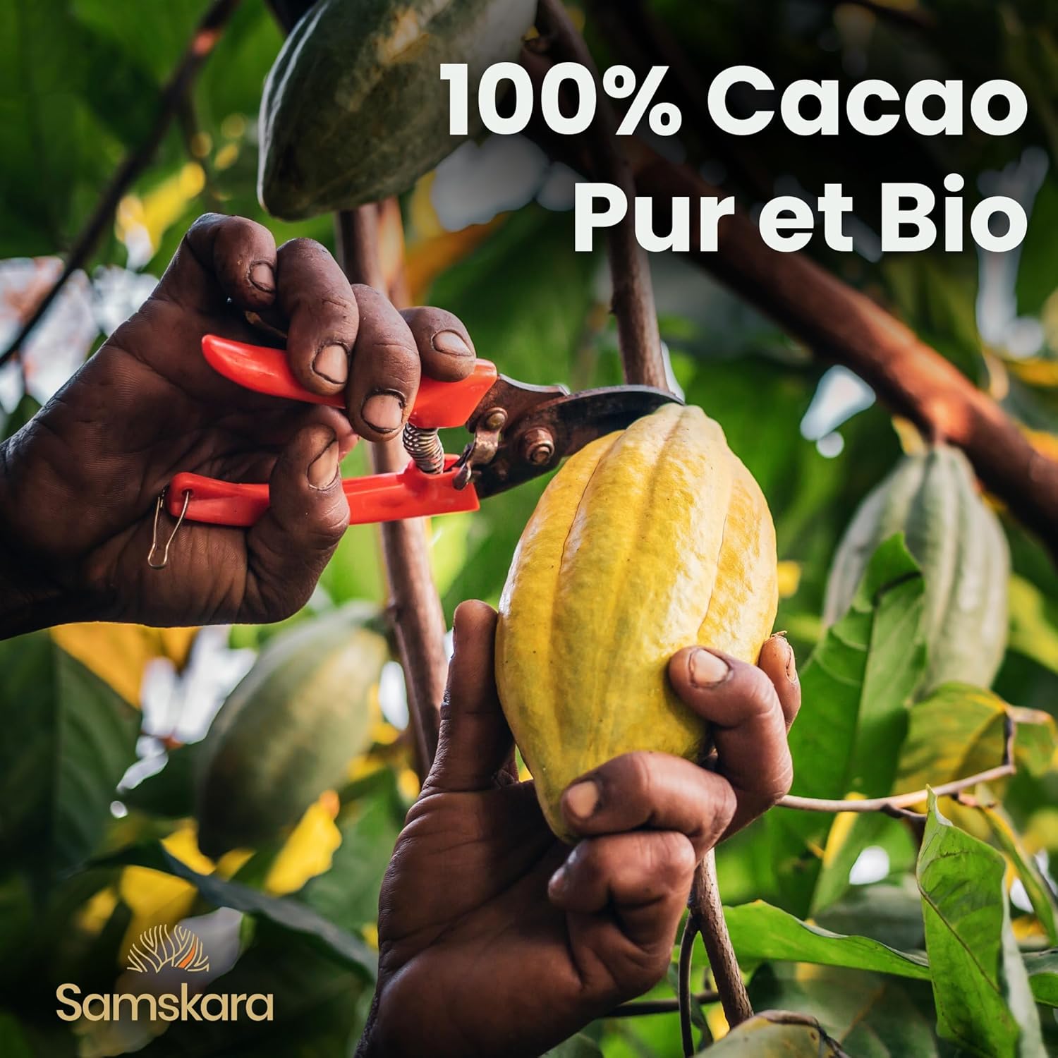 Baobab Powder | Organic | Organic | Superfood | Samskara (500) - Image 4