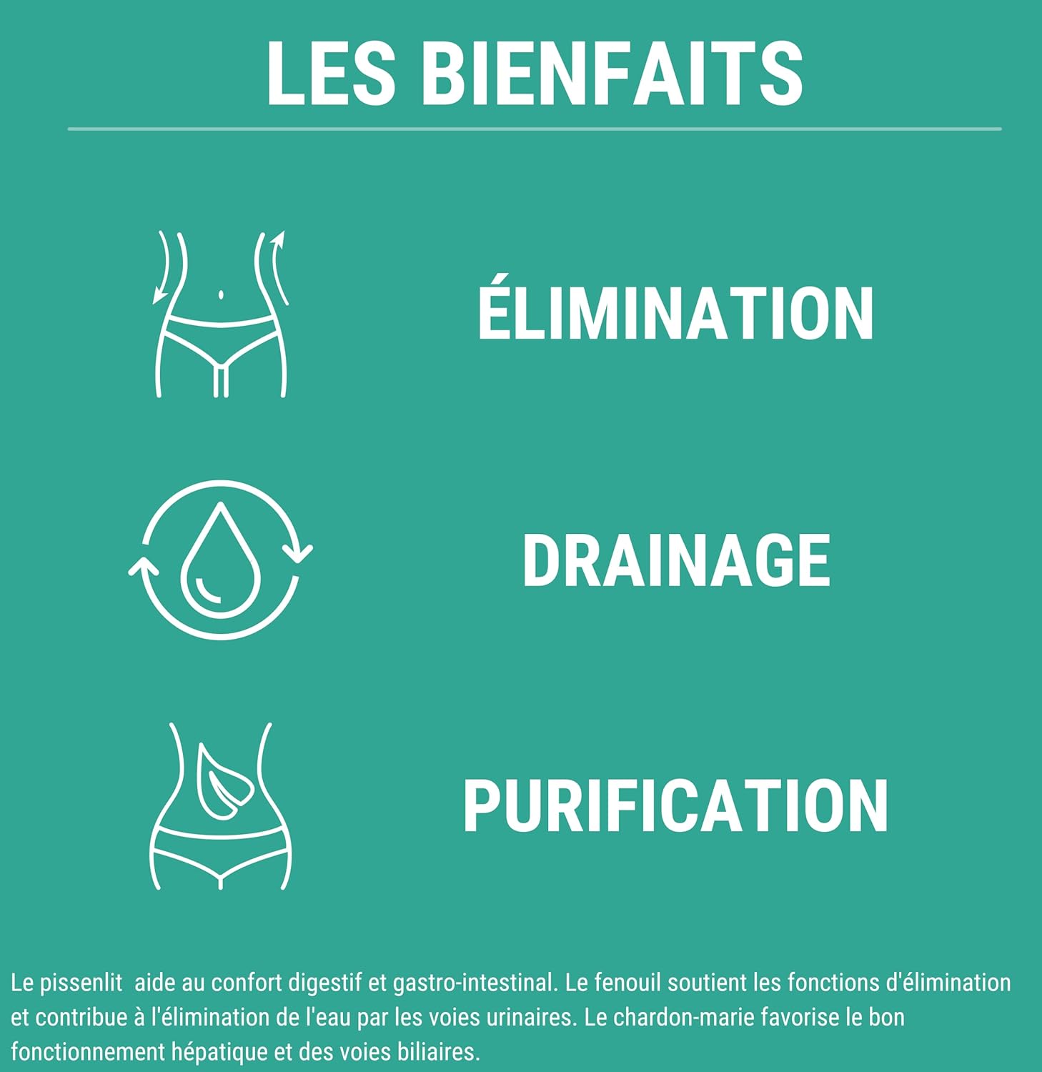DETOX FORMULA | Plant Complex: Artichoke Black Radish Cherry Tail Dandelion Milk Thistle | Detoxifier Liver and Intestine | Detox Colon and Liver Drainer | 60 Capsules - Image 6
