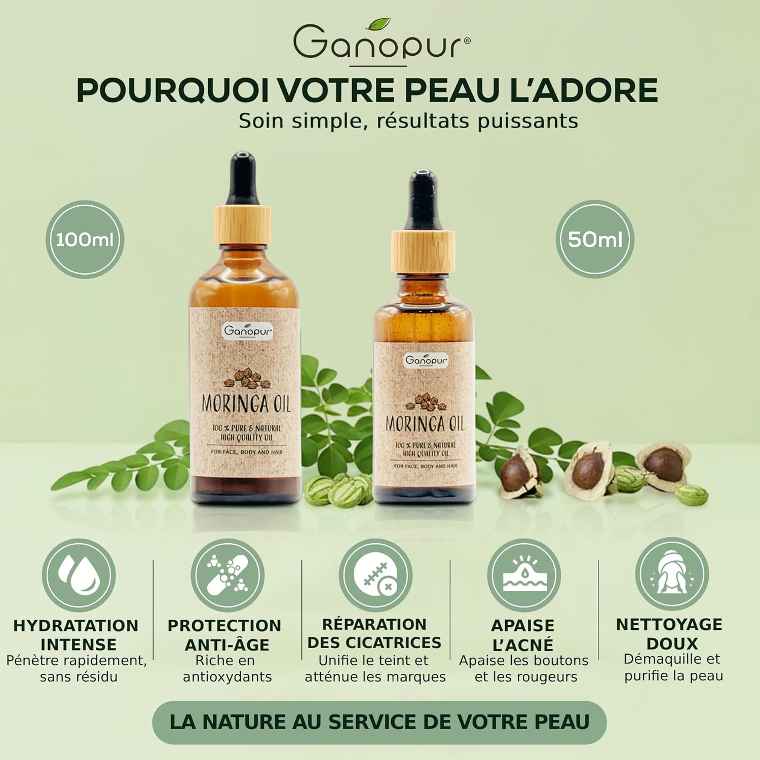 100% Natural Organic Moringa Oil - Face, Body & Hair - Moisturizing, Repairing & Anti-Aging - Pure Seeds - Vitamins A, C & E - 50ml | GANOPUR - Image 3